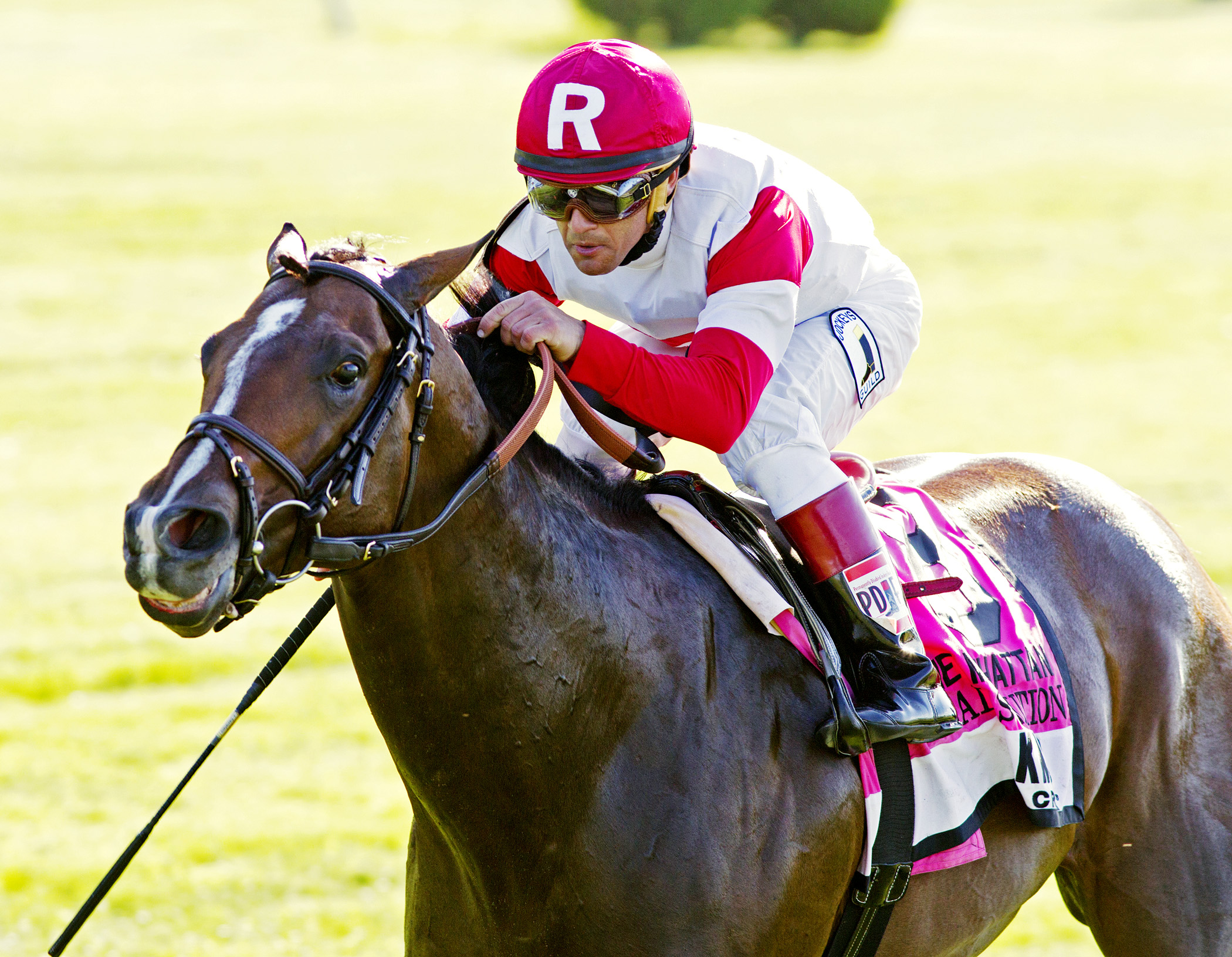 Real Solution wins the Manhattan Stakes
