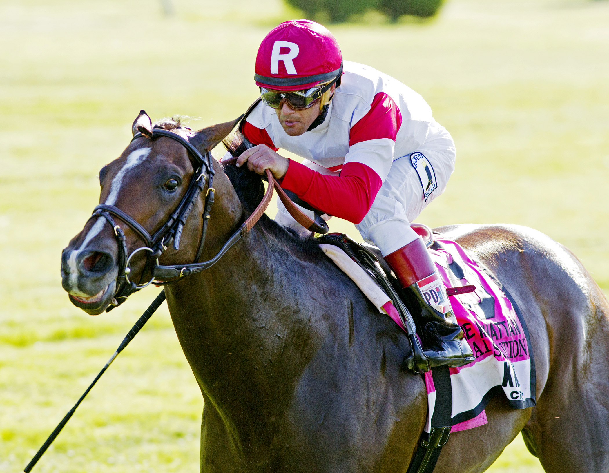 Real Solution wins the Manhattan Stakes