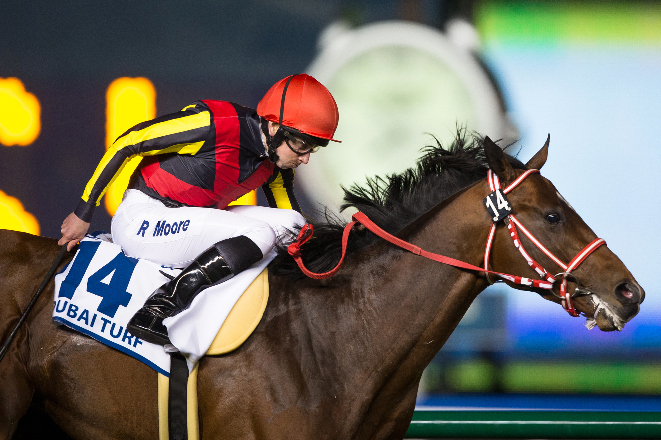 Sparkman: Diversity at Meydan on Dubai World Cup card