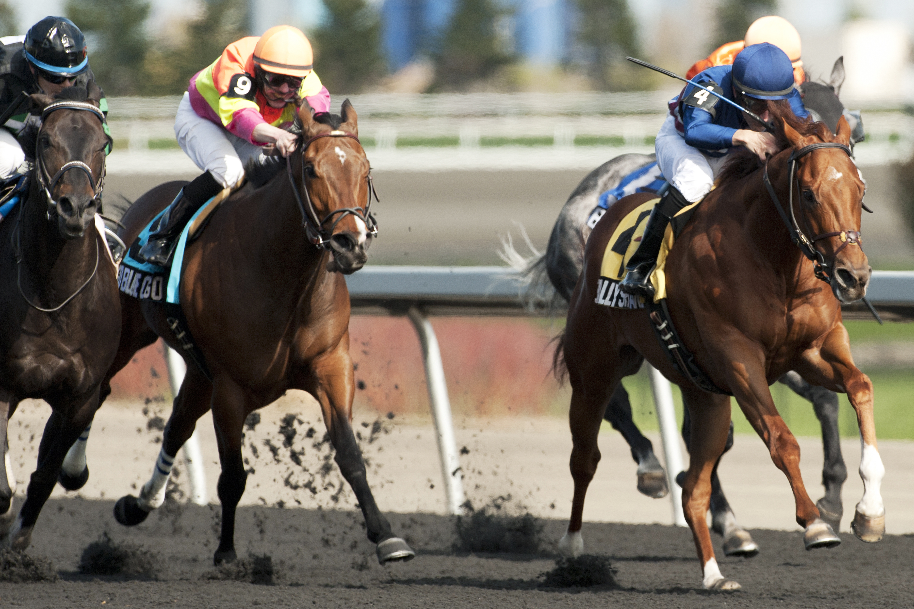 Really Sharp wins the Vigil