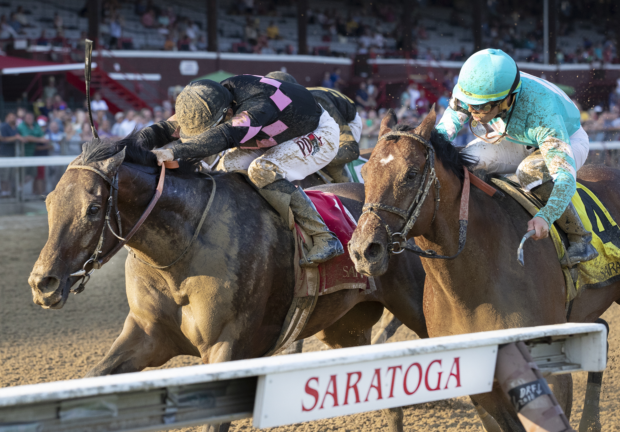 Realm wins 2018 Alydar