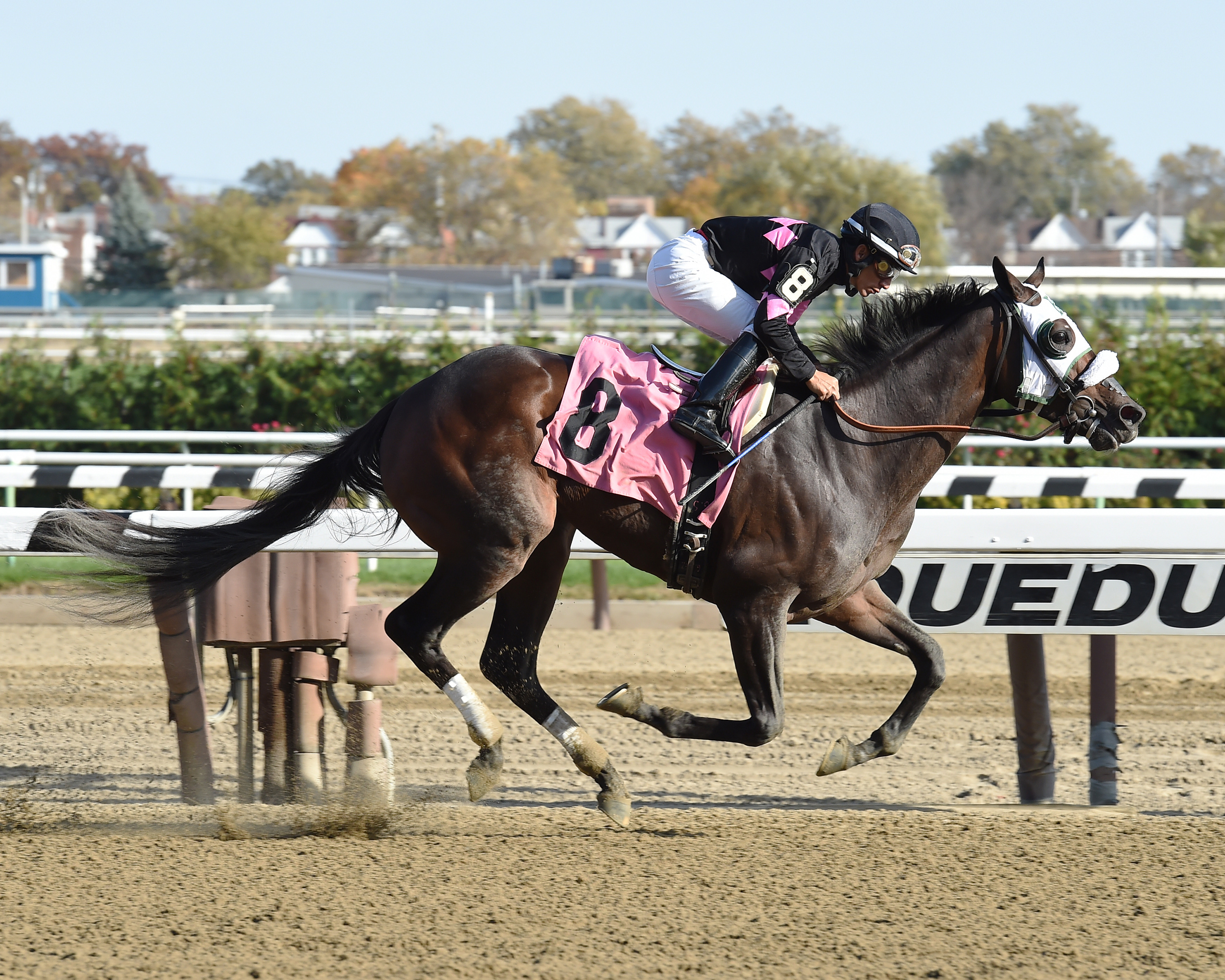 Realm wins an allowance race on Nov. 5, 2016