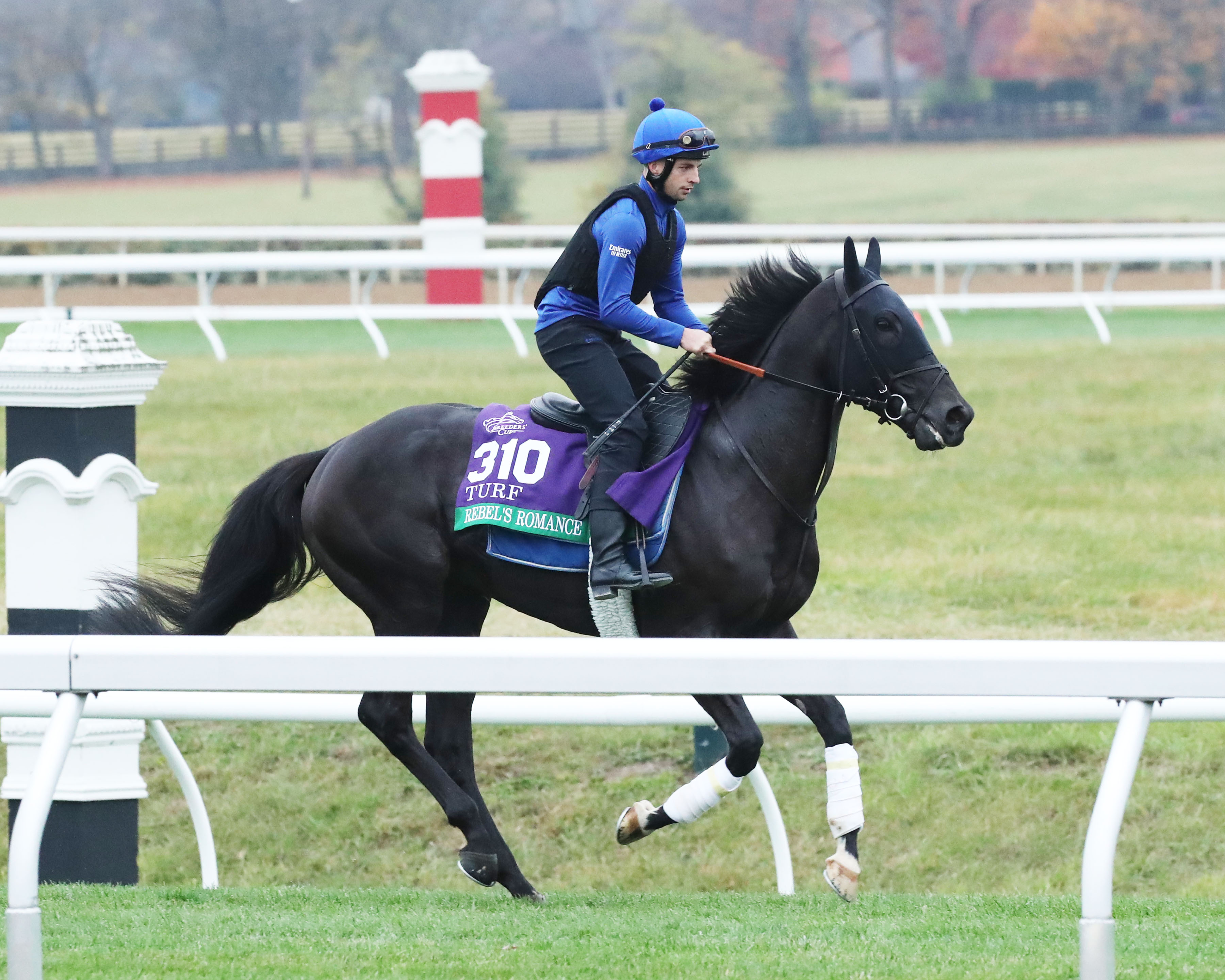Rebel's Romance - Keeneland 110122