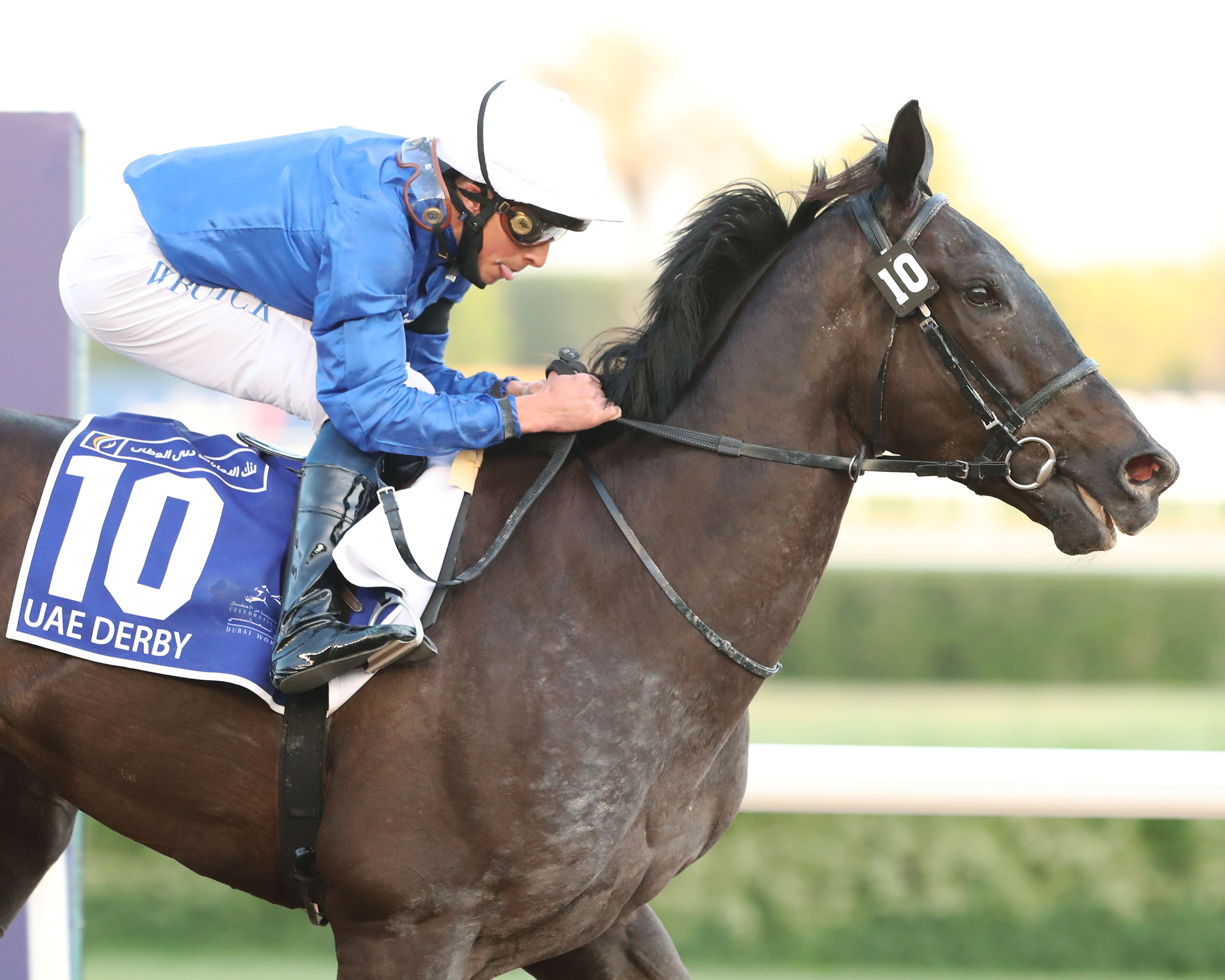 Rebel's Romance/UAE Derby