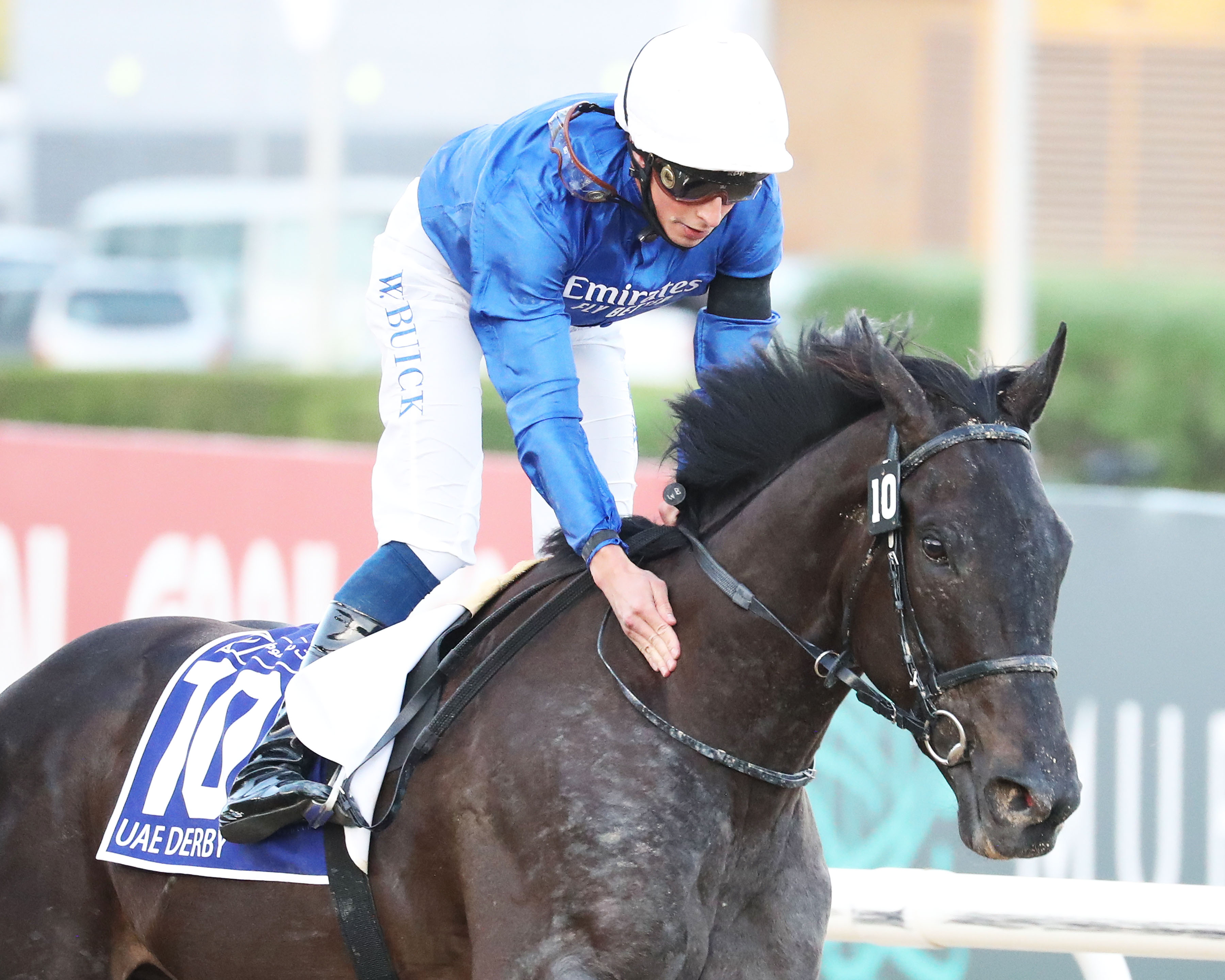 Rebel's Romance - UAE Derby 2021