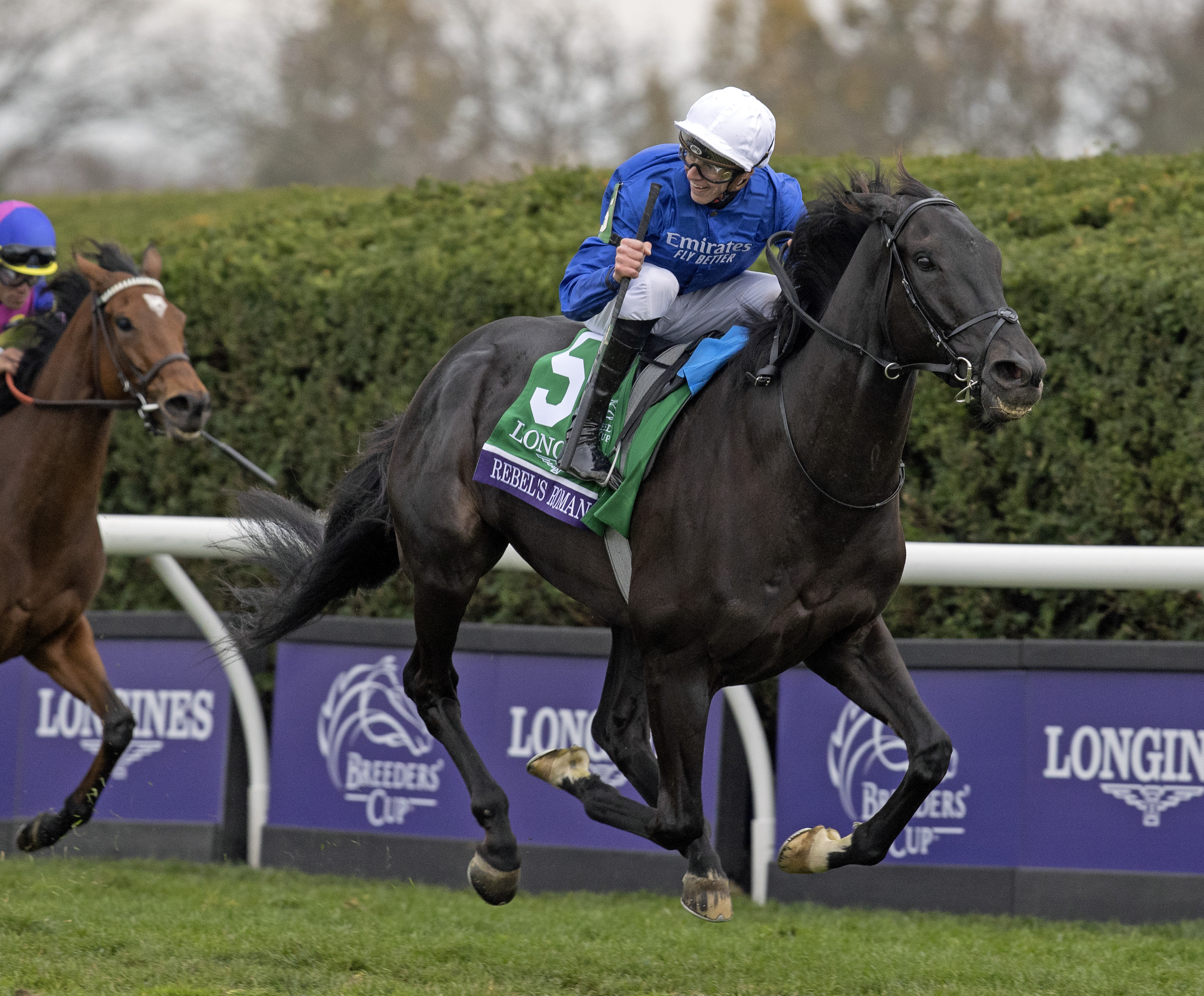 Rebel's Romance/Eclipse Awards