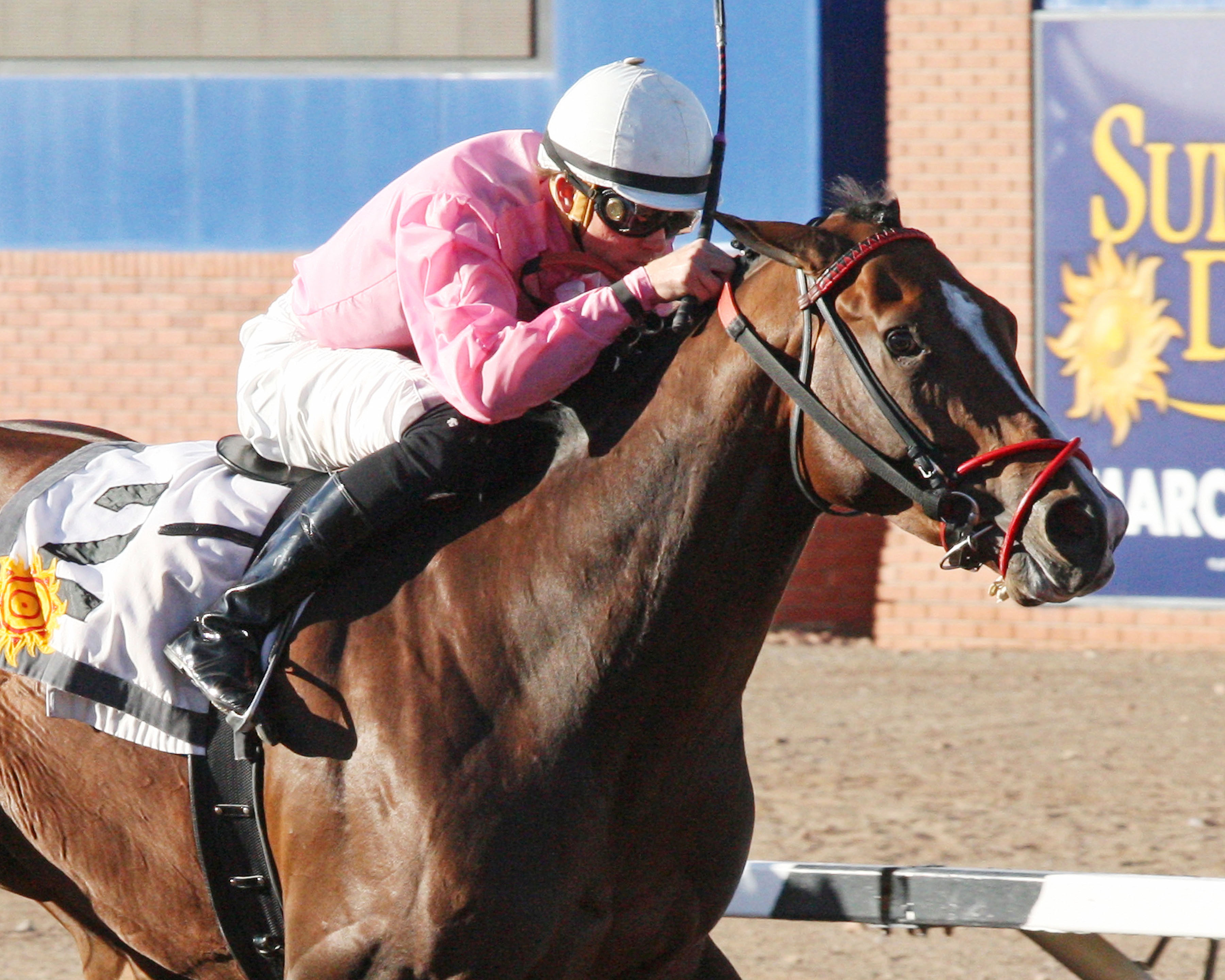 Rebranded wins the Curribot Handicap