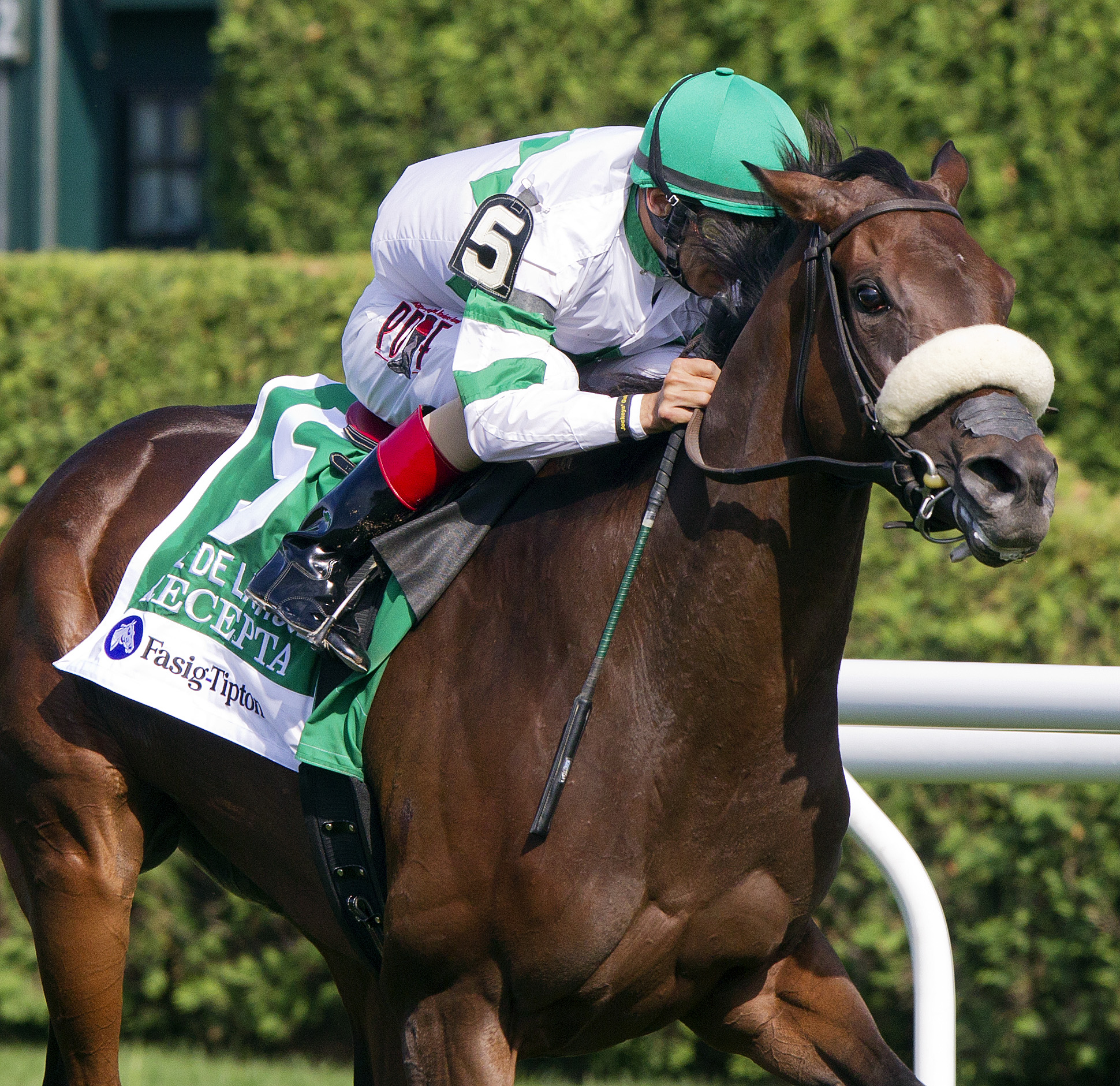 Recepta wins 2015 De La Rose
