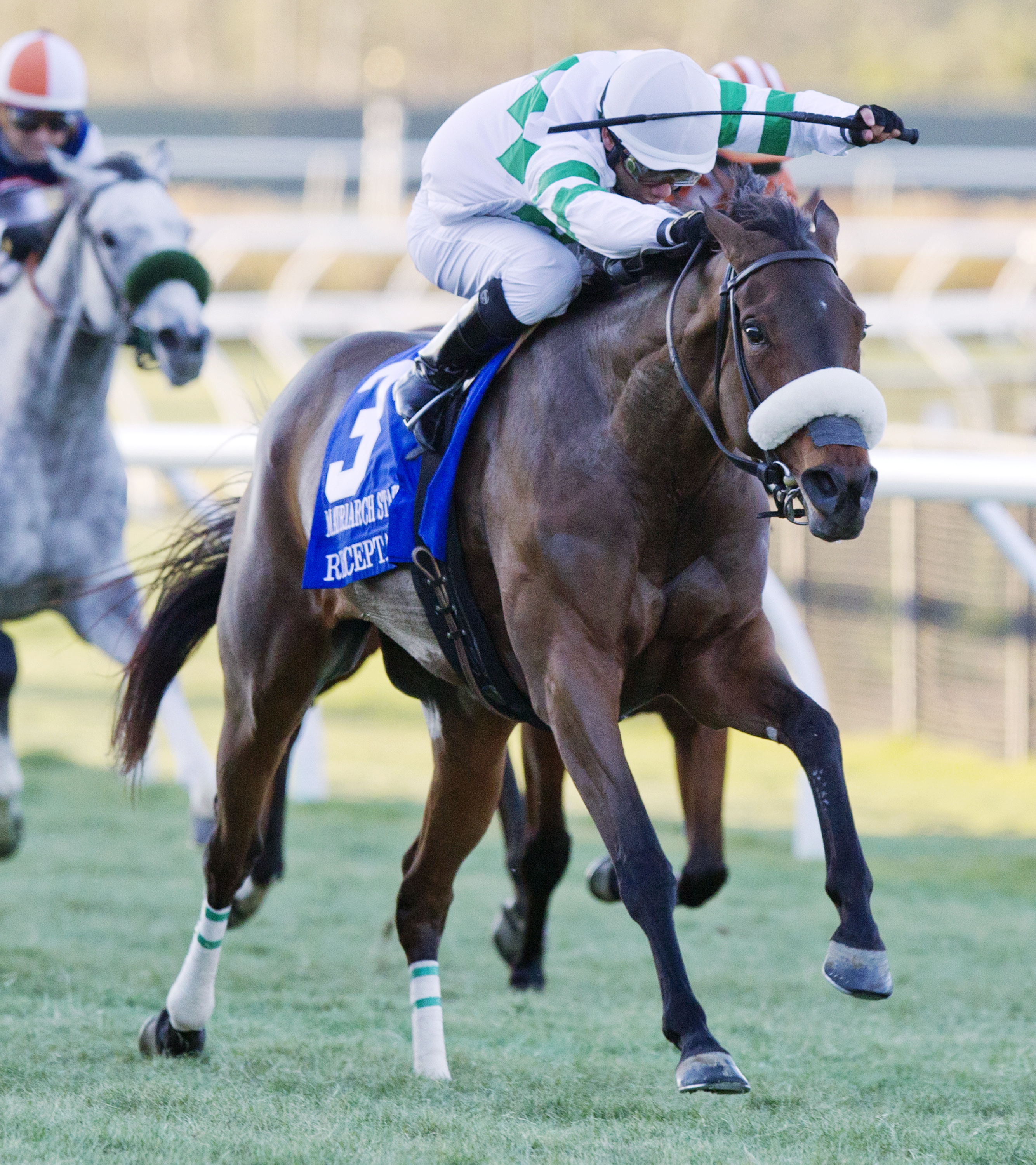 Recepta finishes second in the Matriarch Stakes