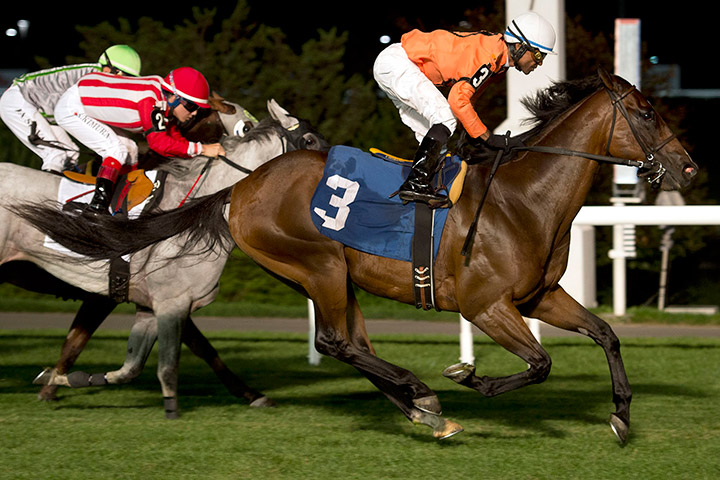 Reconfigure wins an Aug. 21 allowance at Woodbine