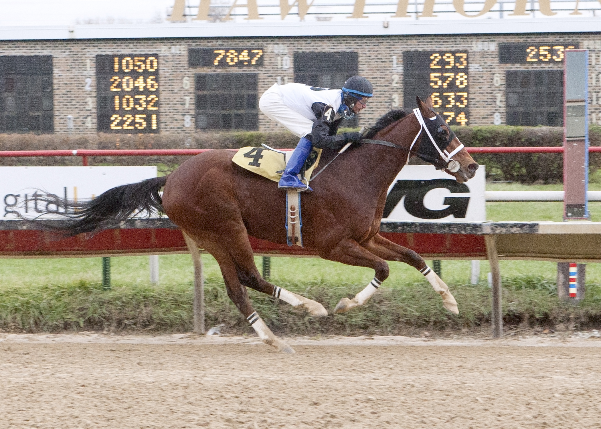 Recount wins the Blackhawk Handicap