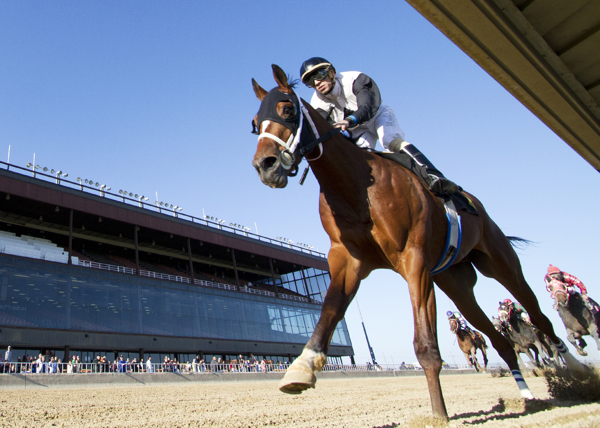Recount wins the Land of Lincoln Stakes