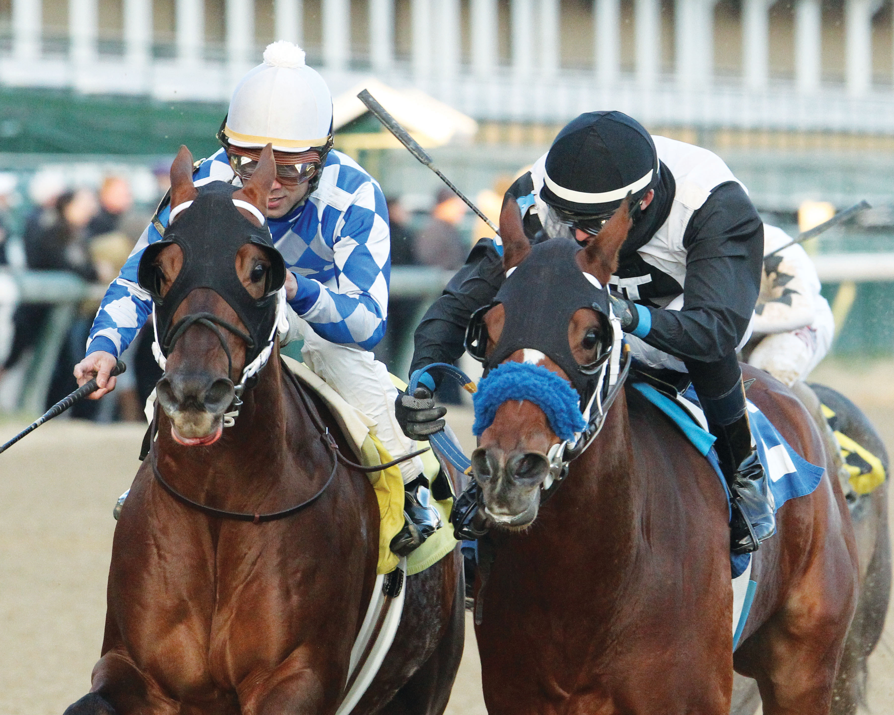 Recount wins the 2016 Bet On Sunshine Stakes