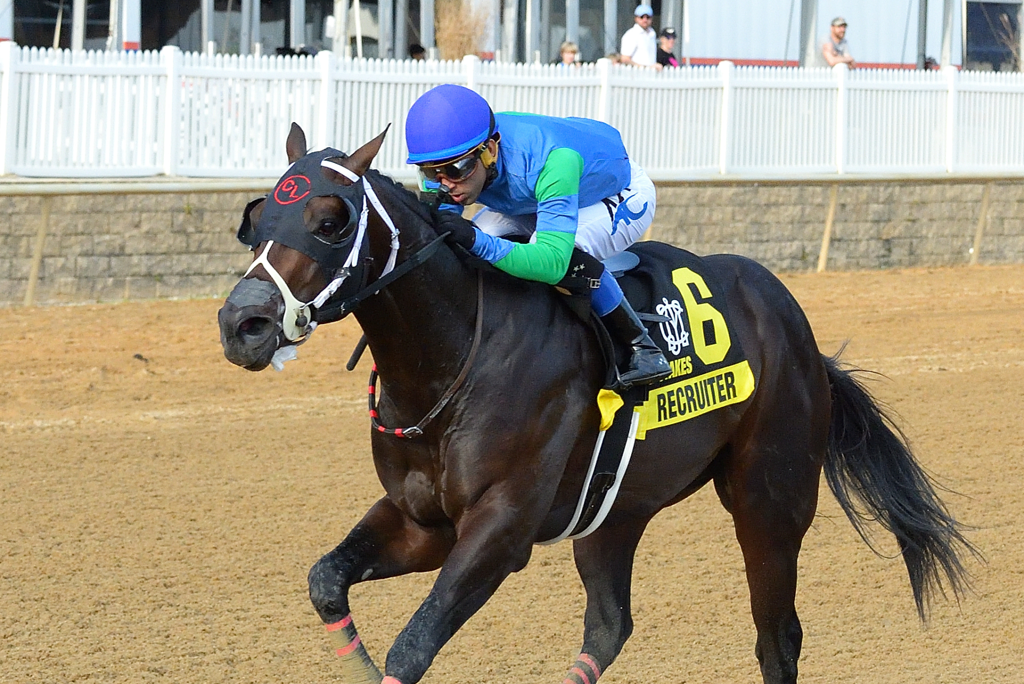 Recruiter wins the James F. Lewis III at Laurel Nov 12 2022