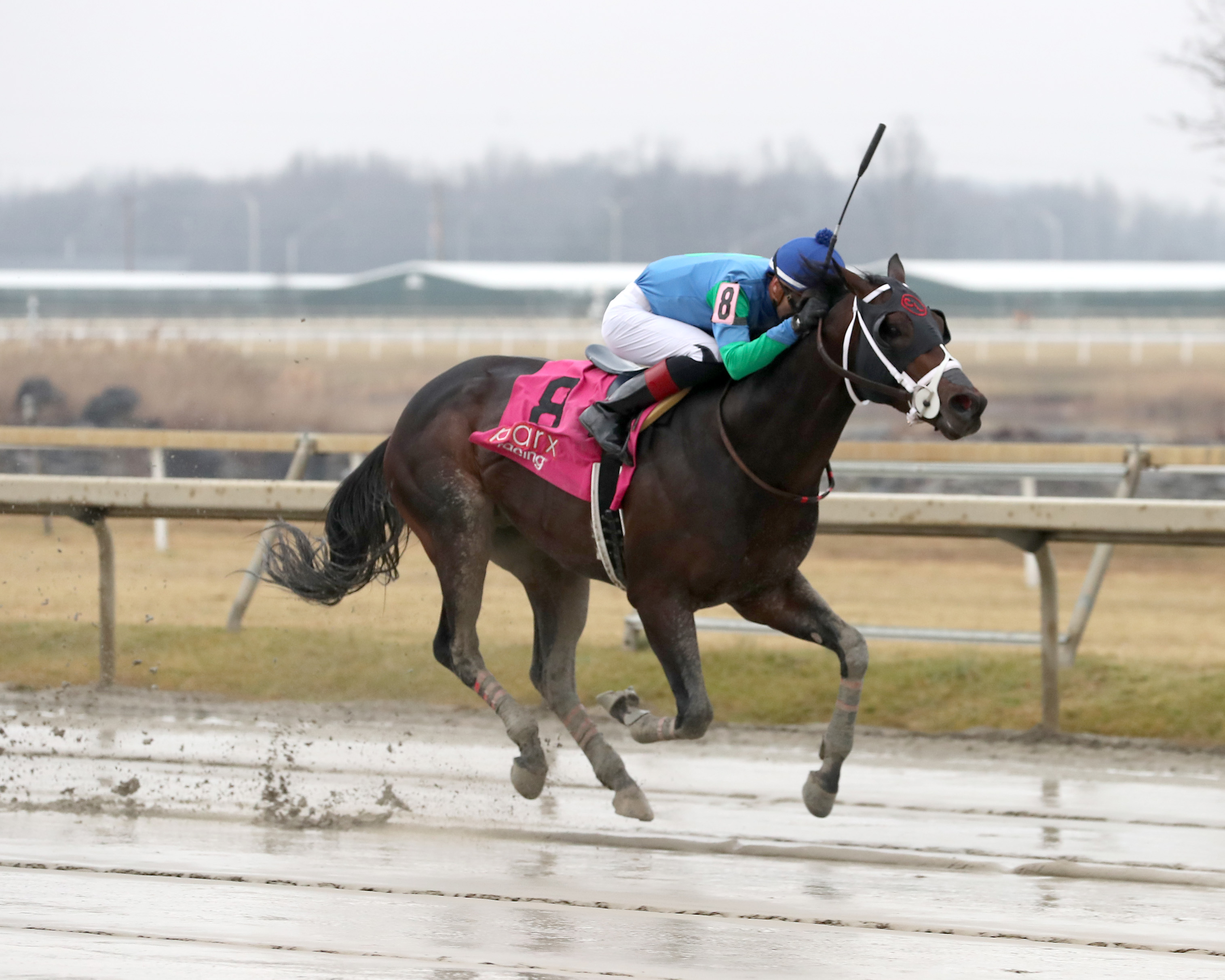 Recruiter, Parx Juvenile