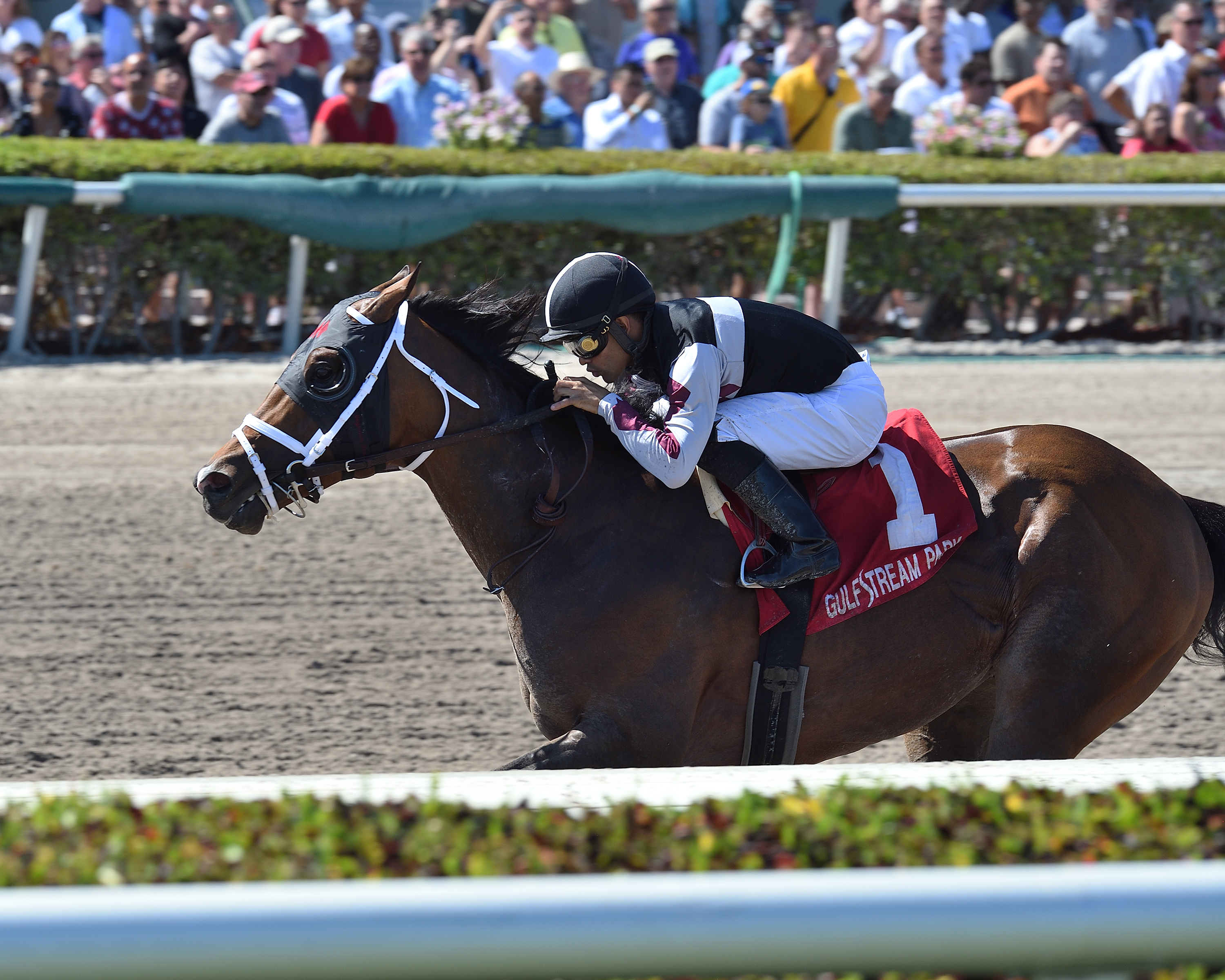 Recruiting Ready wins the 2019 GP Sprint