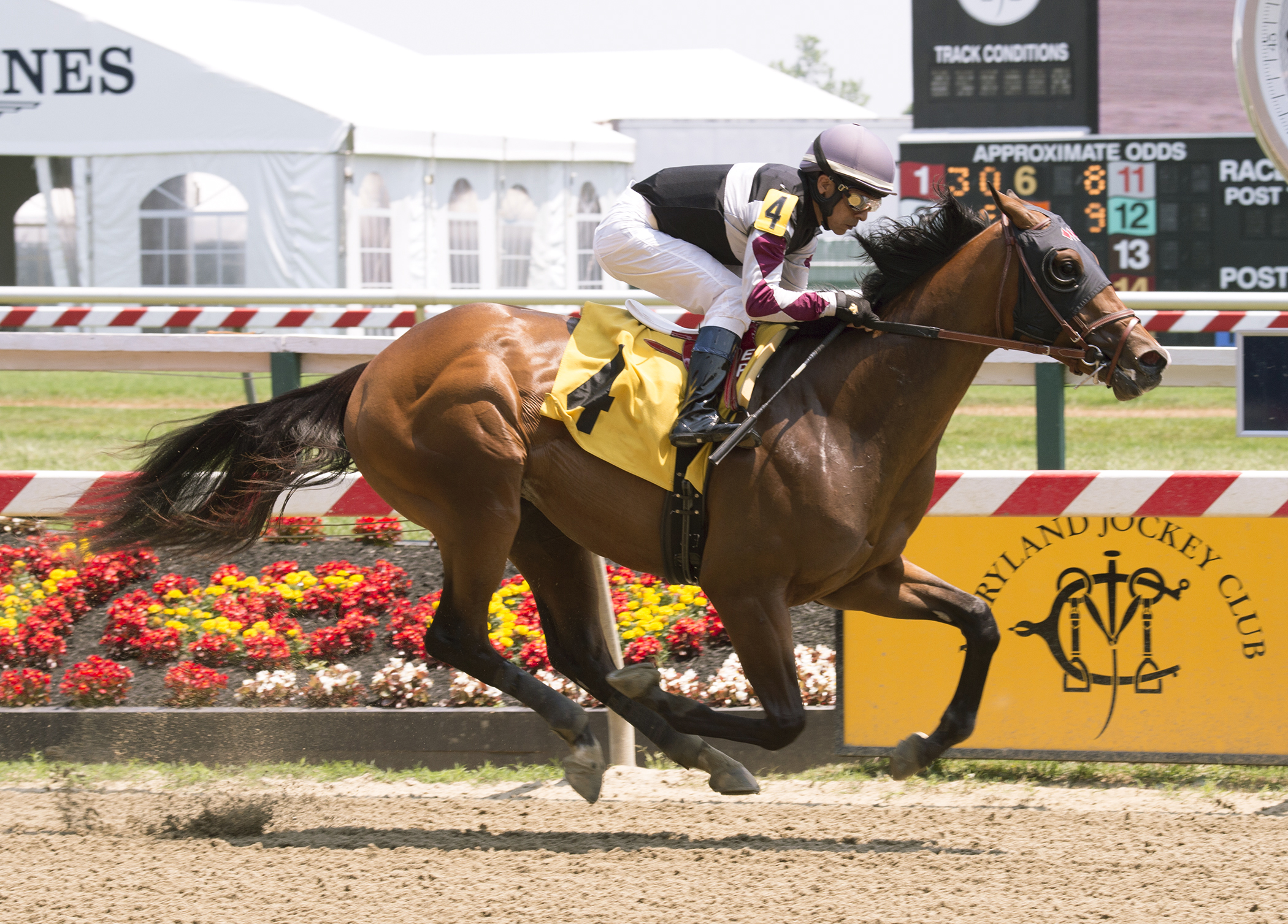 Recruiting Ready wins a maiden race