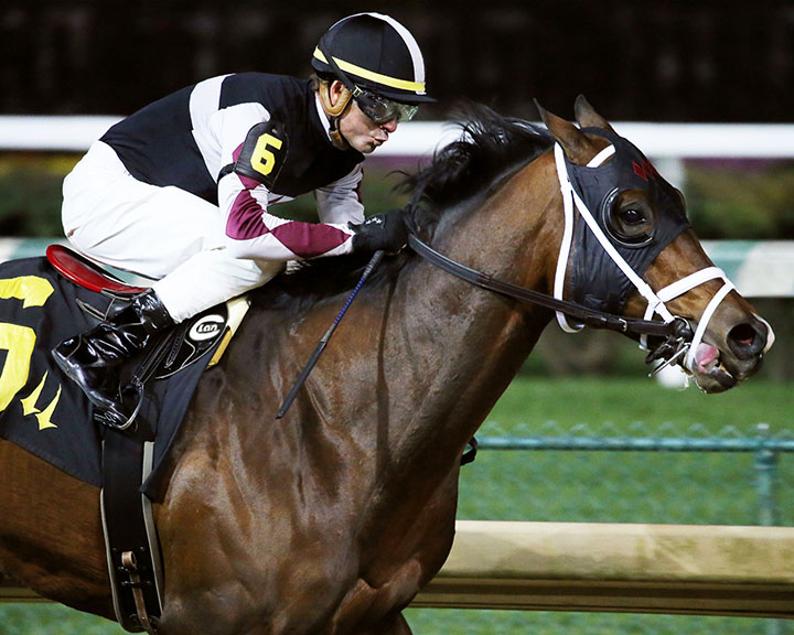 Recruiting Ready wins the Bet On Sunshine Stakes at Churchill Downs