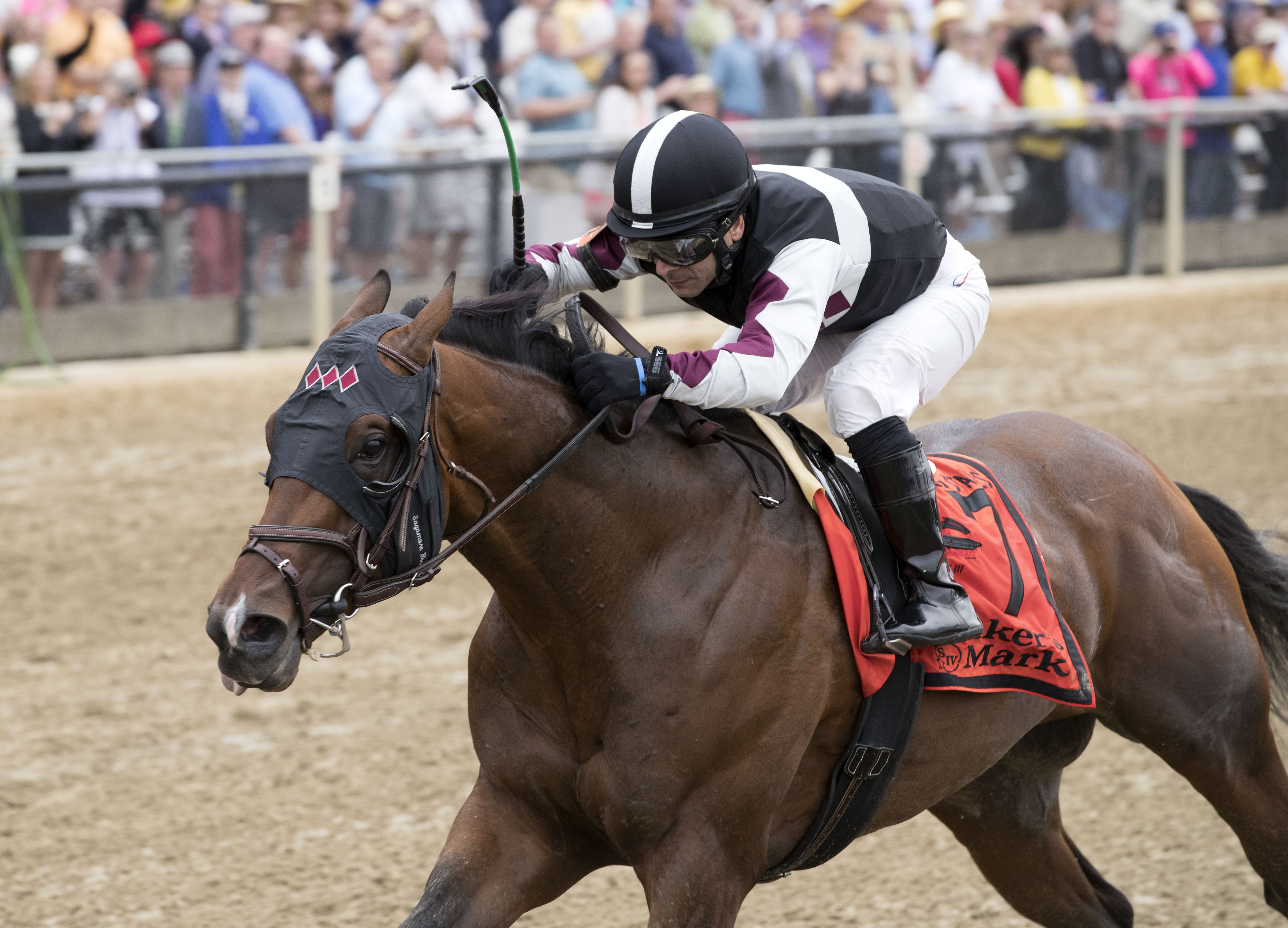 Horacio Karamanos wins the Chick Lang Stakes with Recruiting Ready