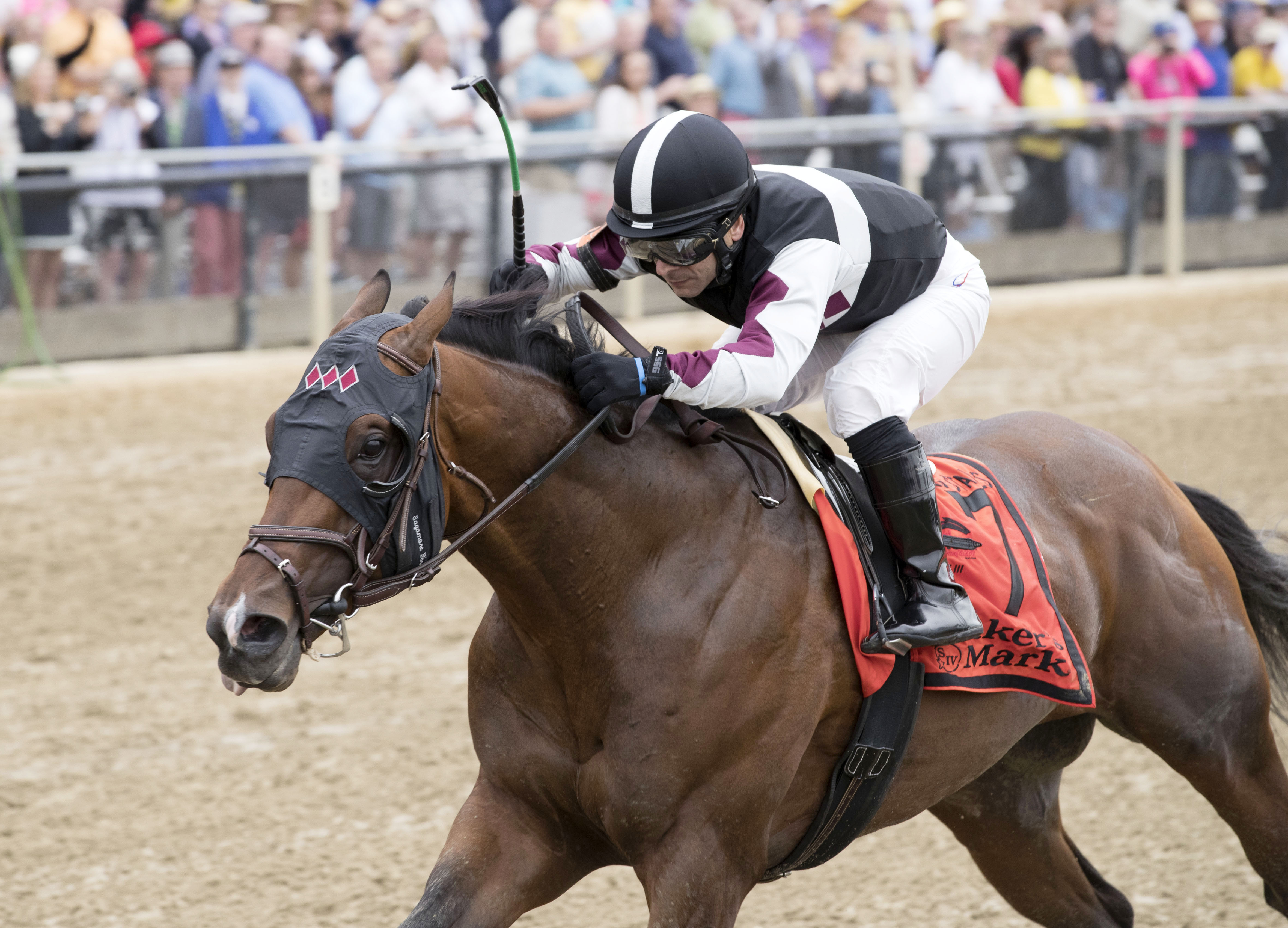 Recruiting Ready wins the 2017 Chick Lang Stakes