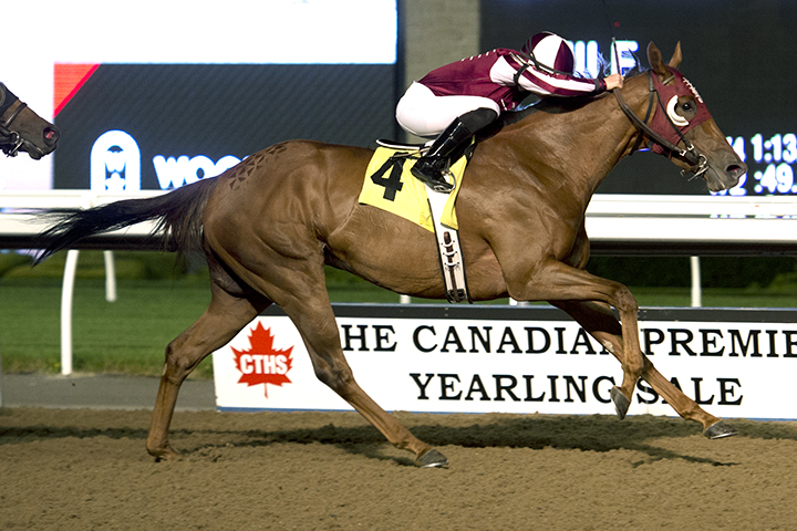 Red Cabernet wins the 2019 Kenora Stakes at Woodbine Racetrack