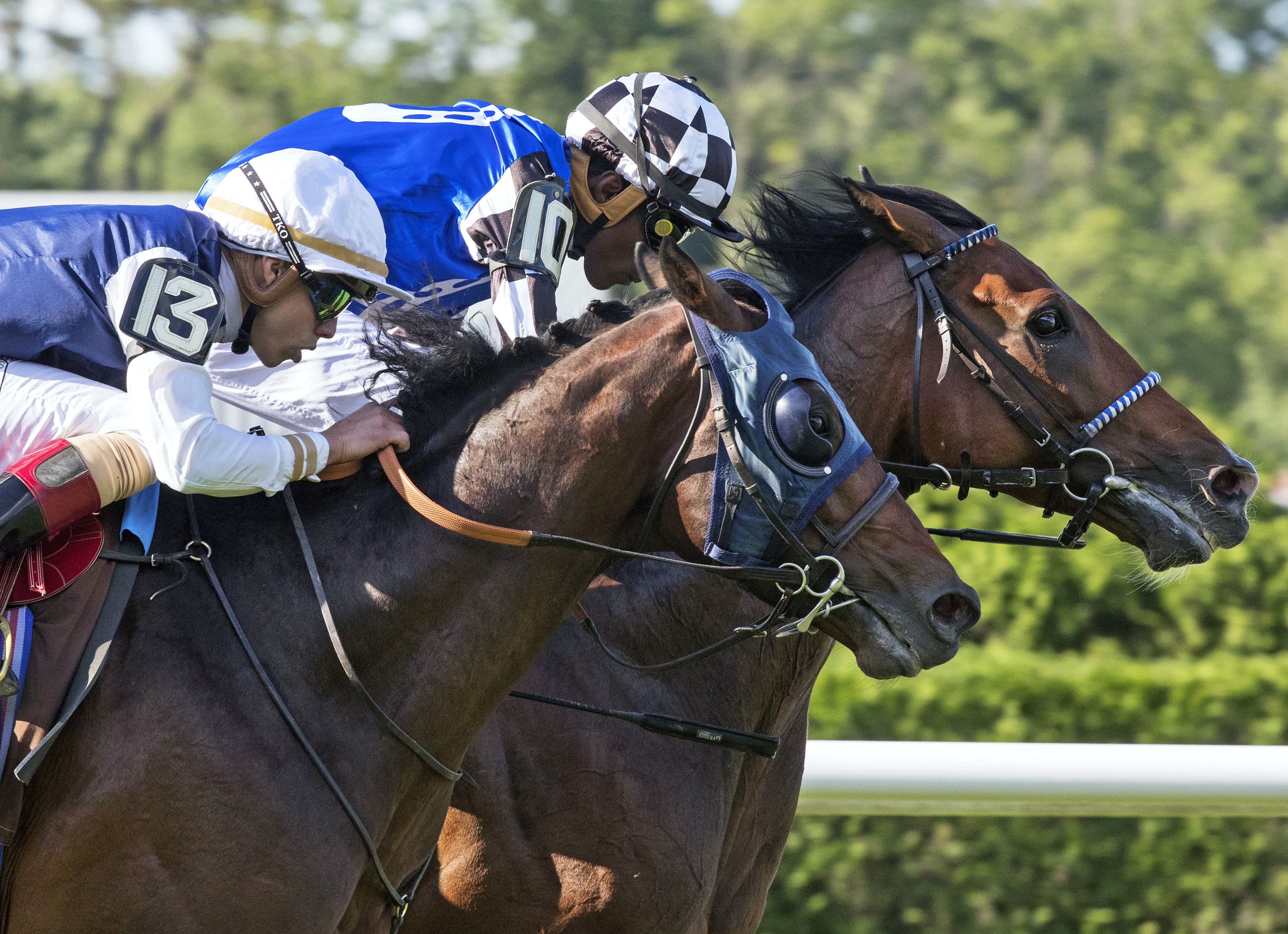 Red Cardinal wins the Belmont Gold Cup