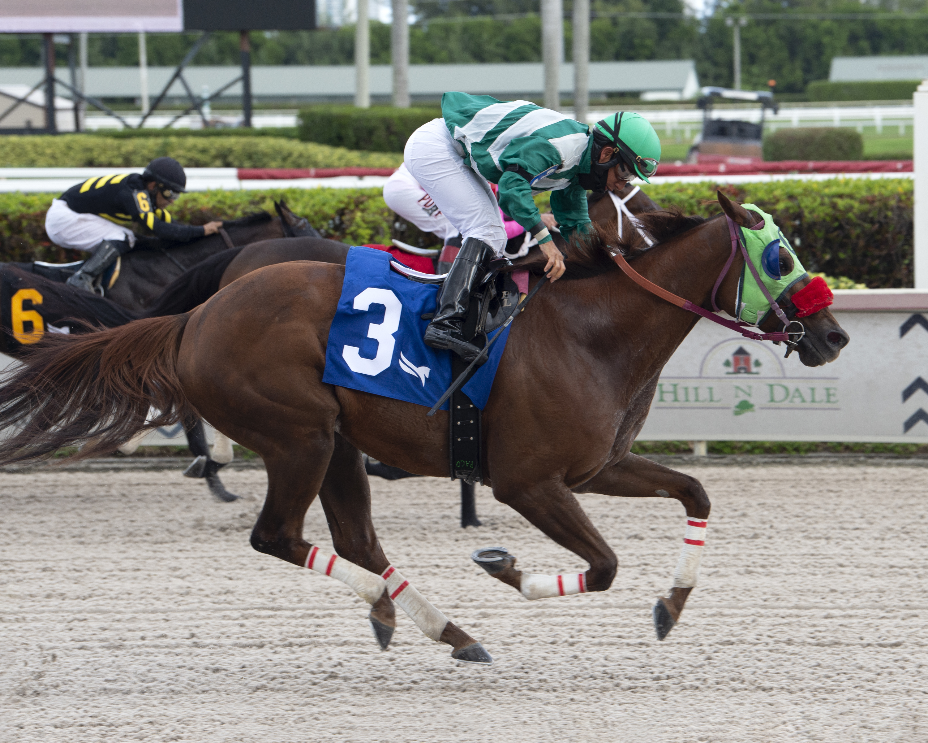 Red Crescent wins at Gulfstream Dec 3 2020