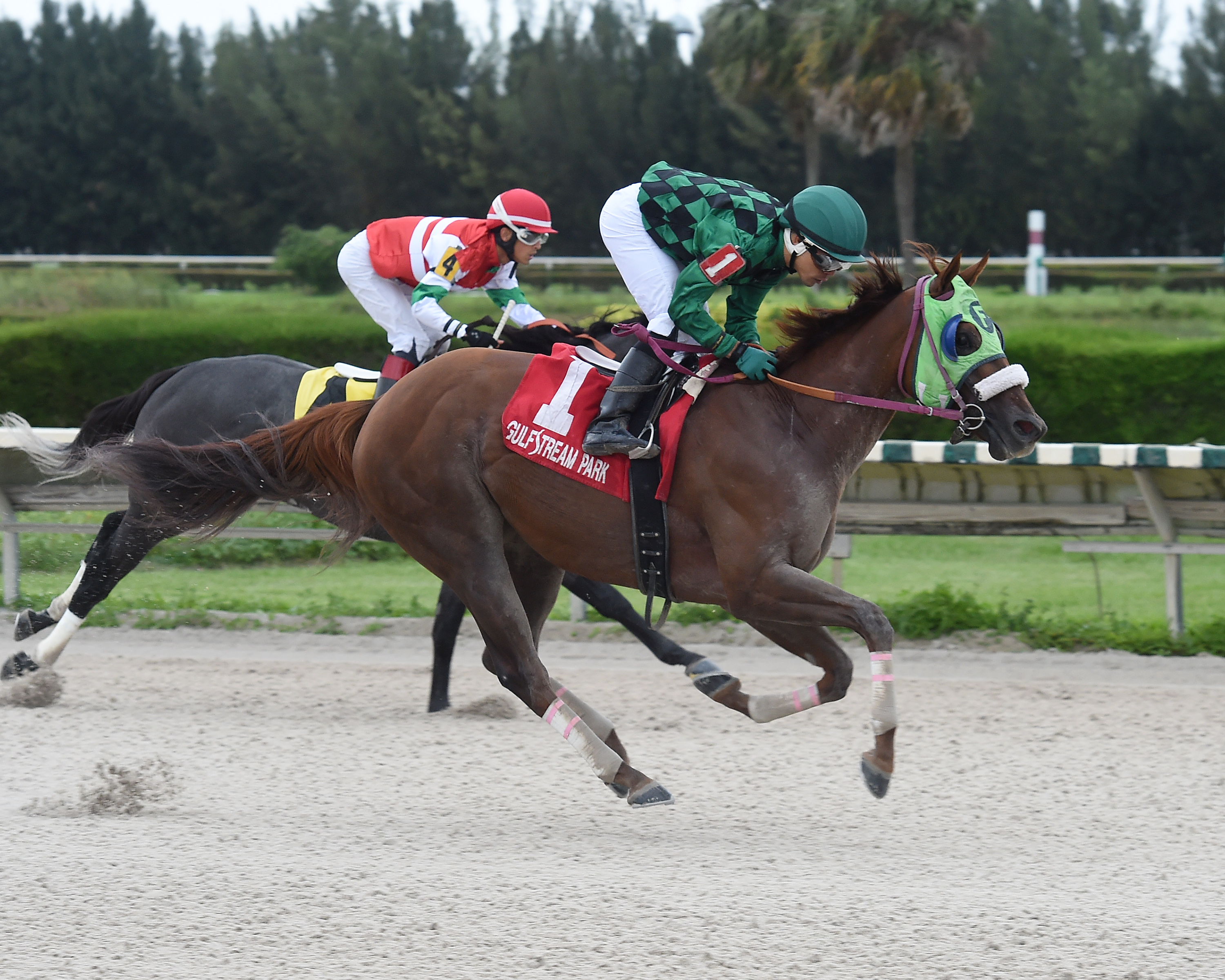 Red Cresent wins the Sunshine Millions Classic Preview under Sammy Camacho