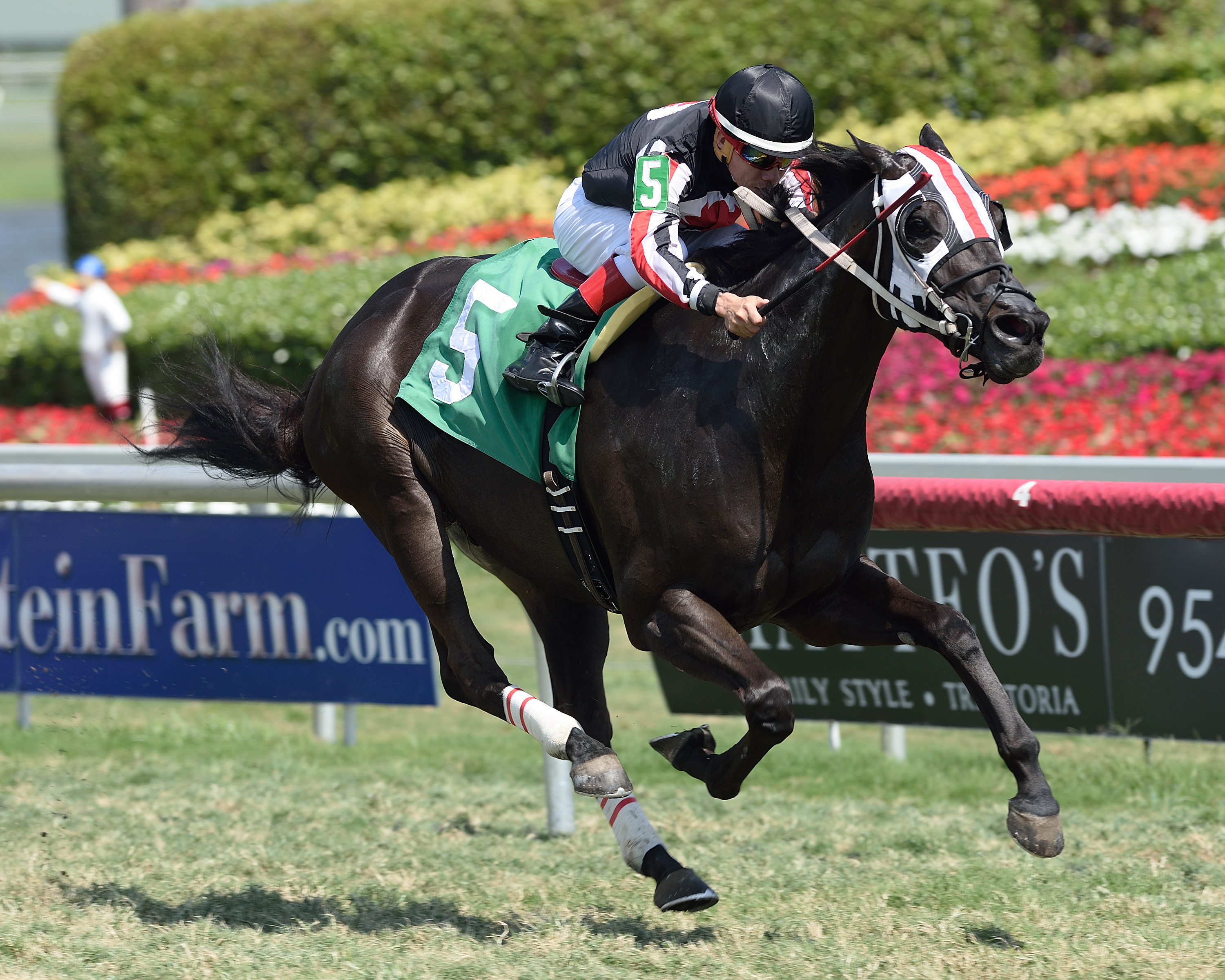 Red Fever wins a Feb. 24 claiming race at Gulfstream