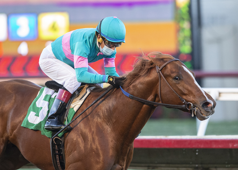 Red Flag wins Bob Hope Stakes 11-15-2020