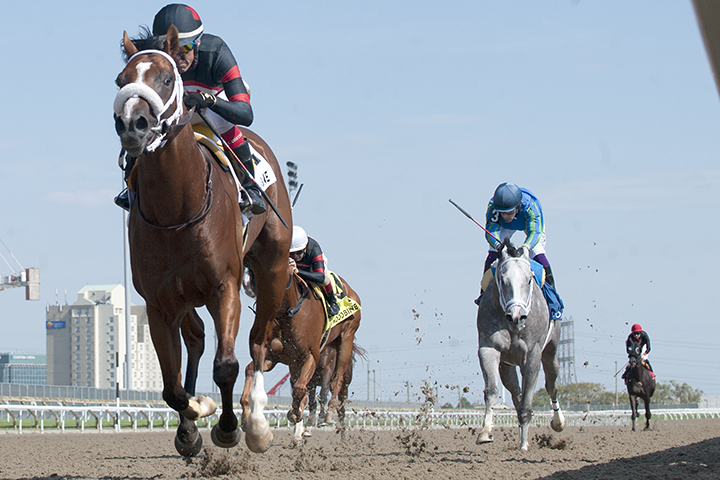 Red Giveaway wins the 2019 Bull Page Stakes at Woodbine Racetrack