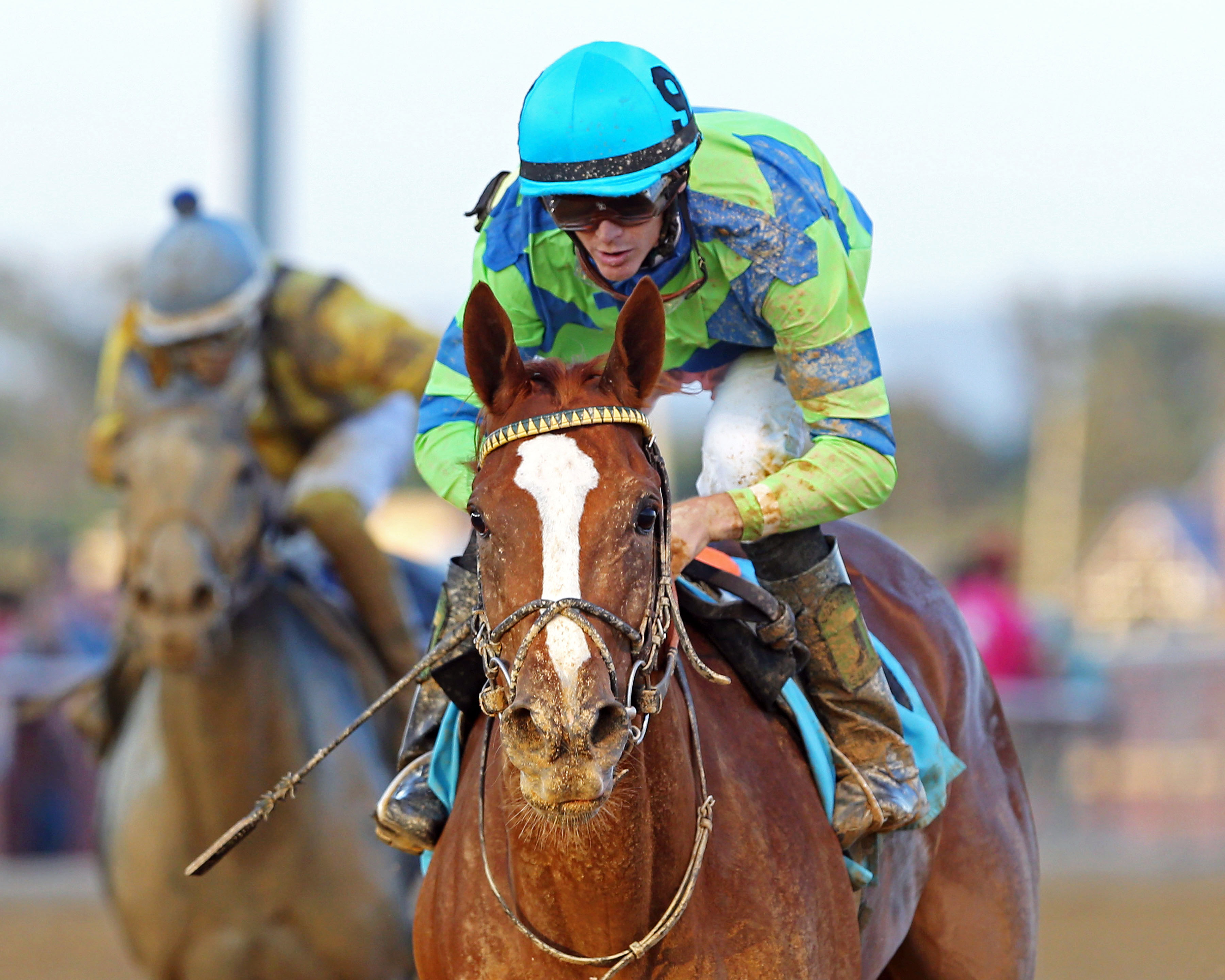 Red Hot Diva wins the Harry Buch Memorial Handicap