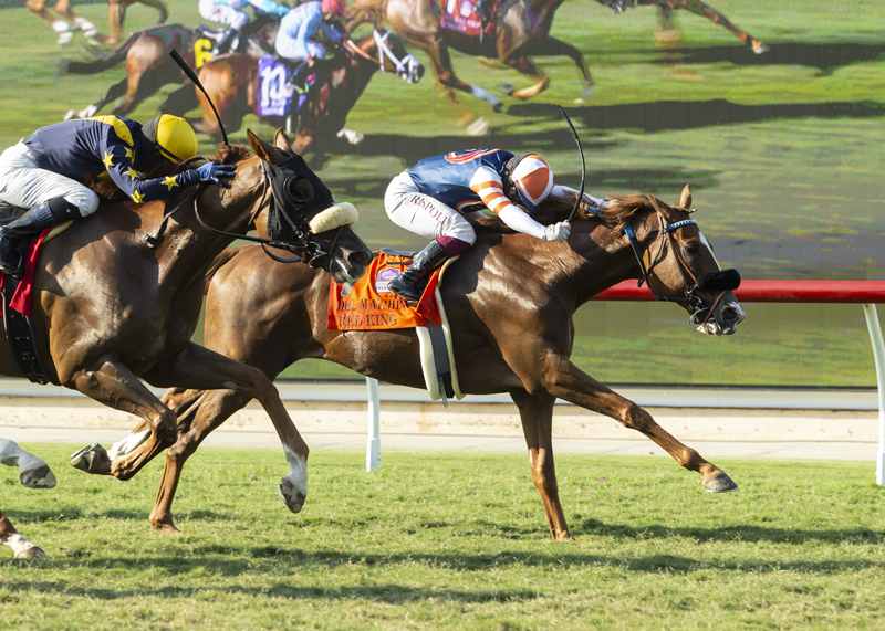 Red King wins Del Mar Handicap 8-22-2020