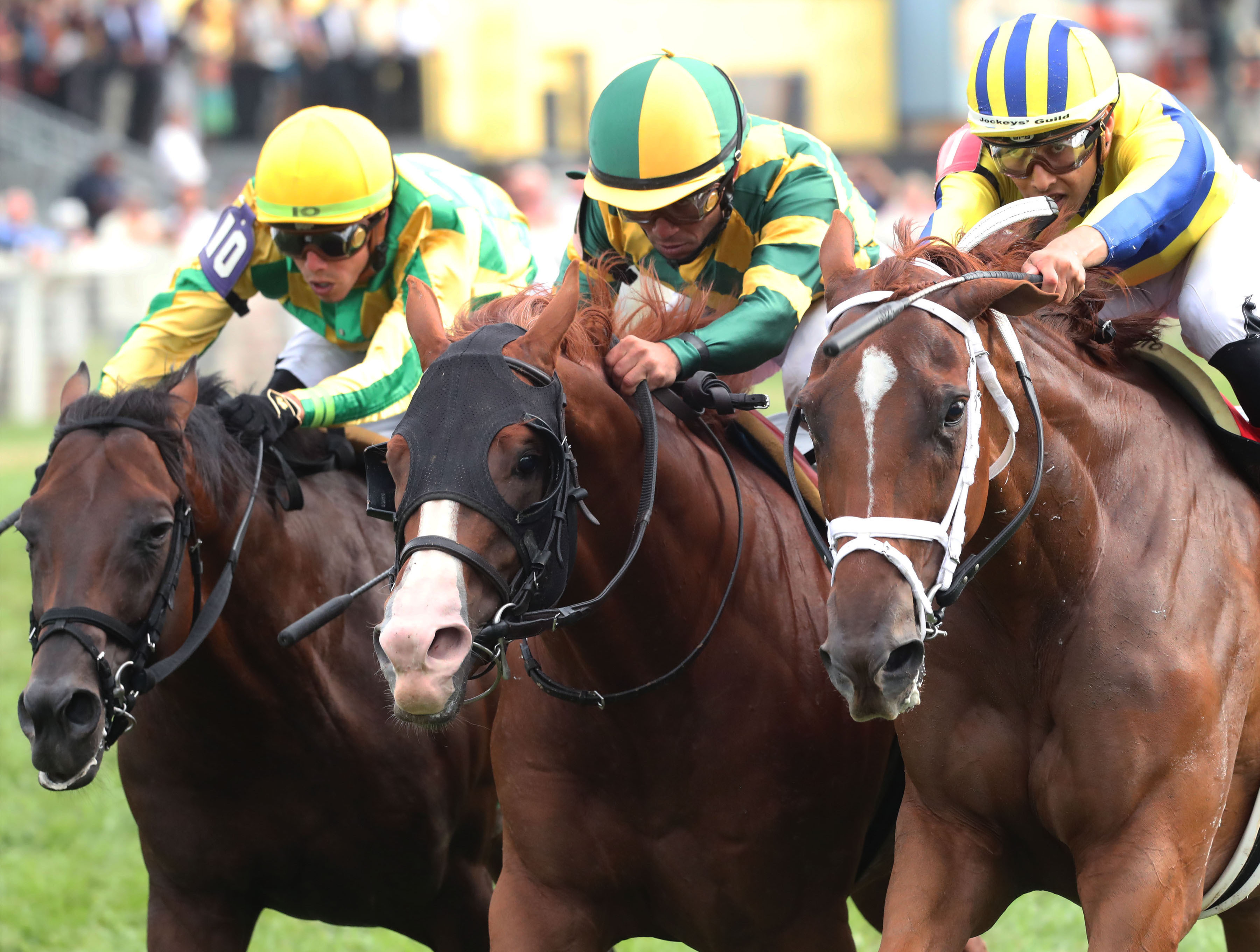 Red Knight (right) beats Gufo (center) and Another Mystery in Ky. Turf Cup Sept 10 2022