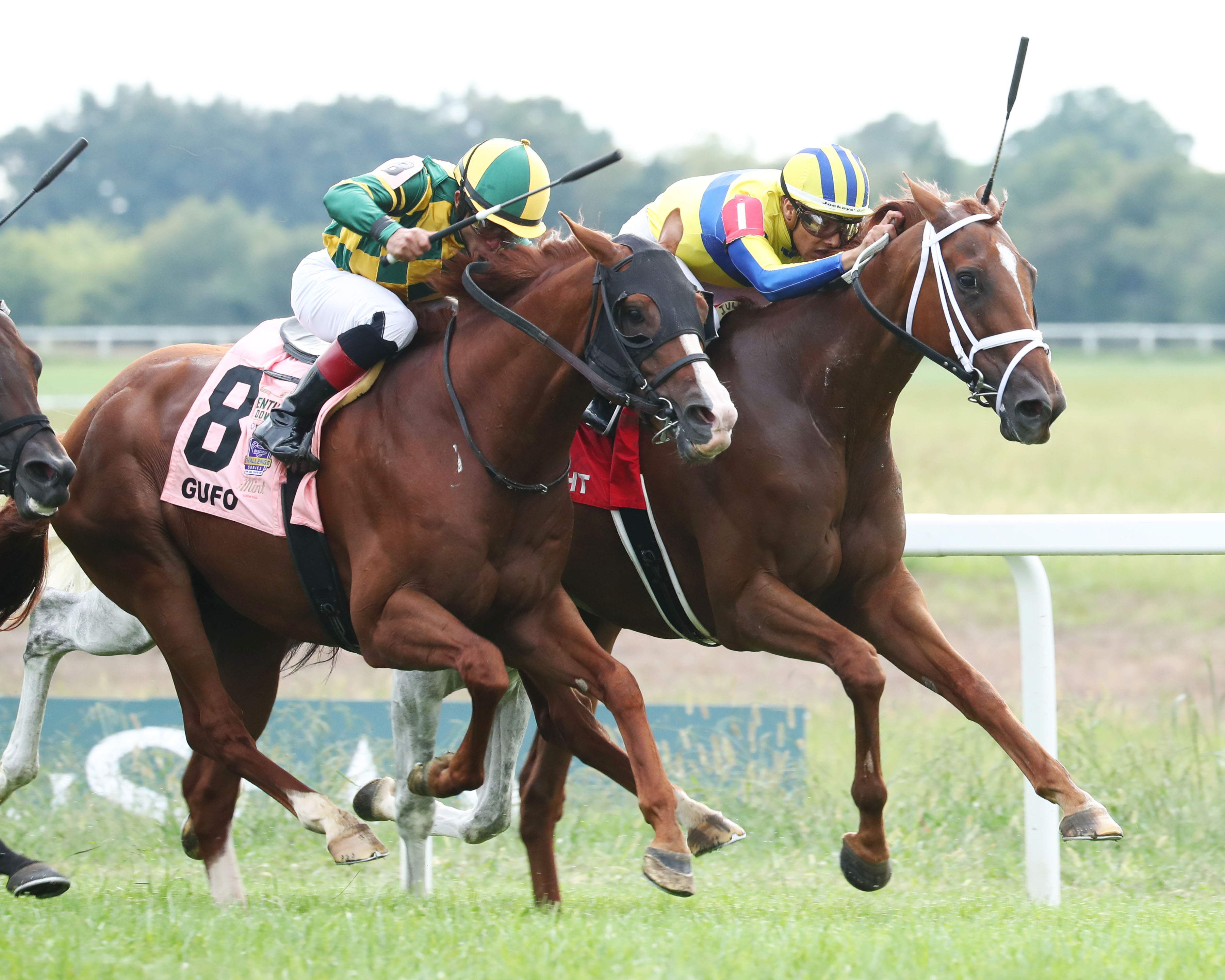 Red Knight (right) noses out Gufo in the Kentucky Turf Cup at Kentucky Downs Sept 10 2022