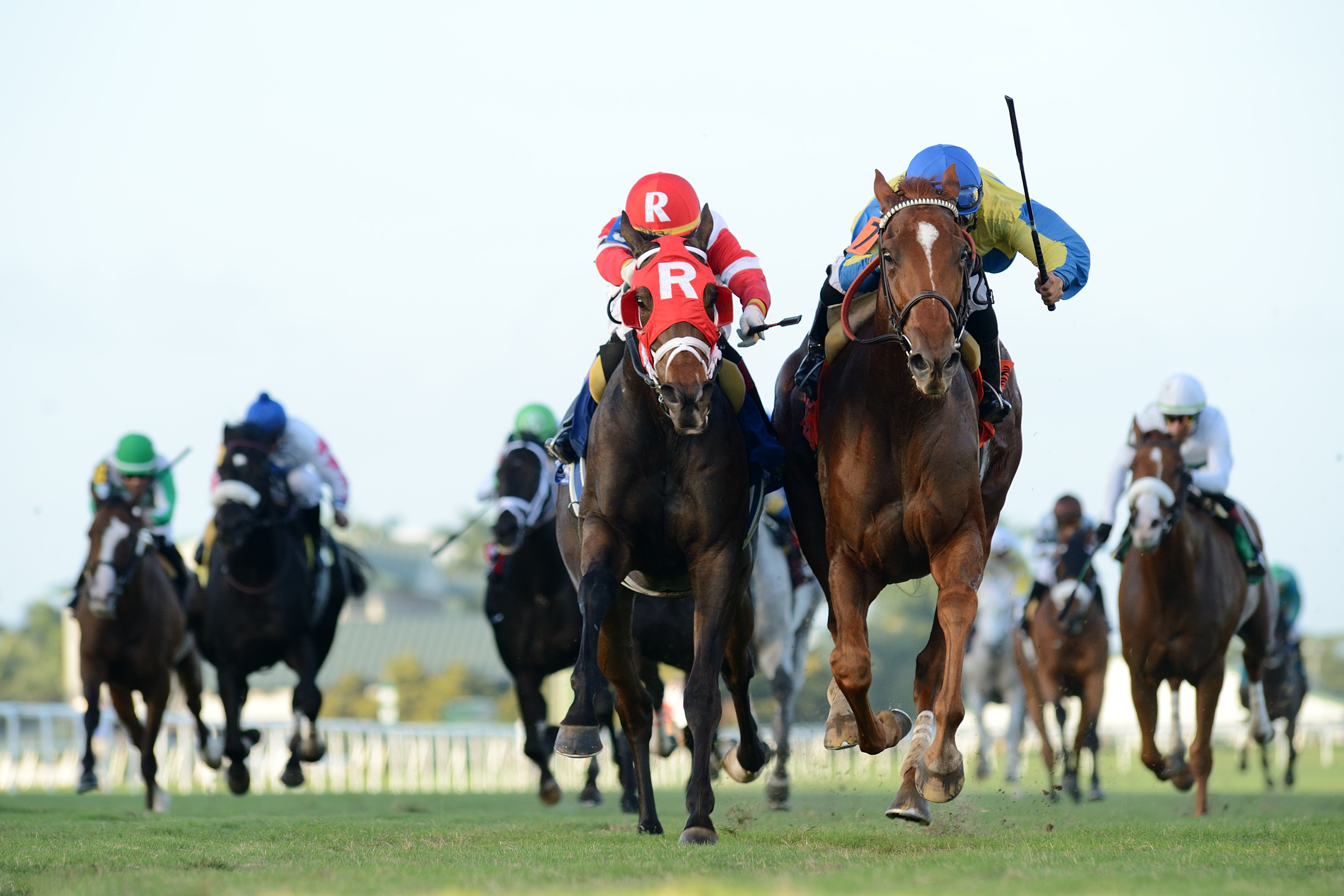 Red Knight (right) wins the 2018 Allen Jerkens Stakes