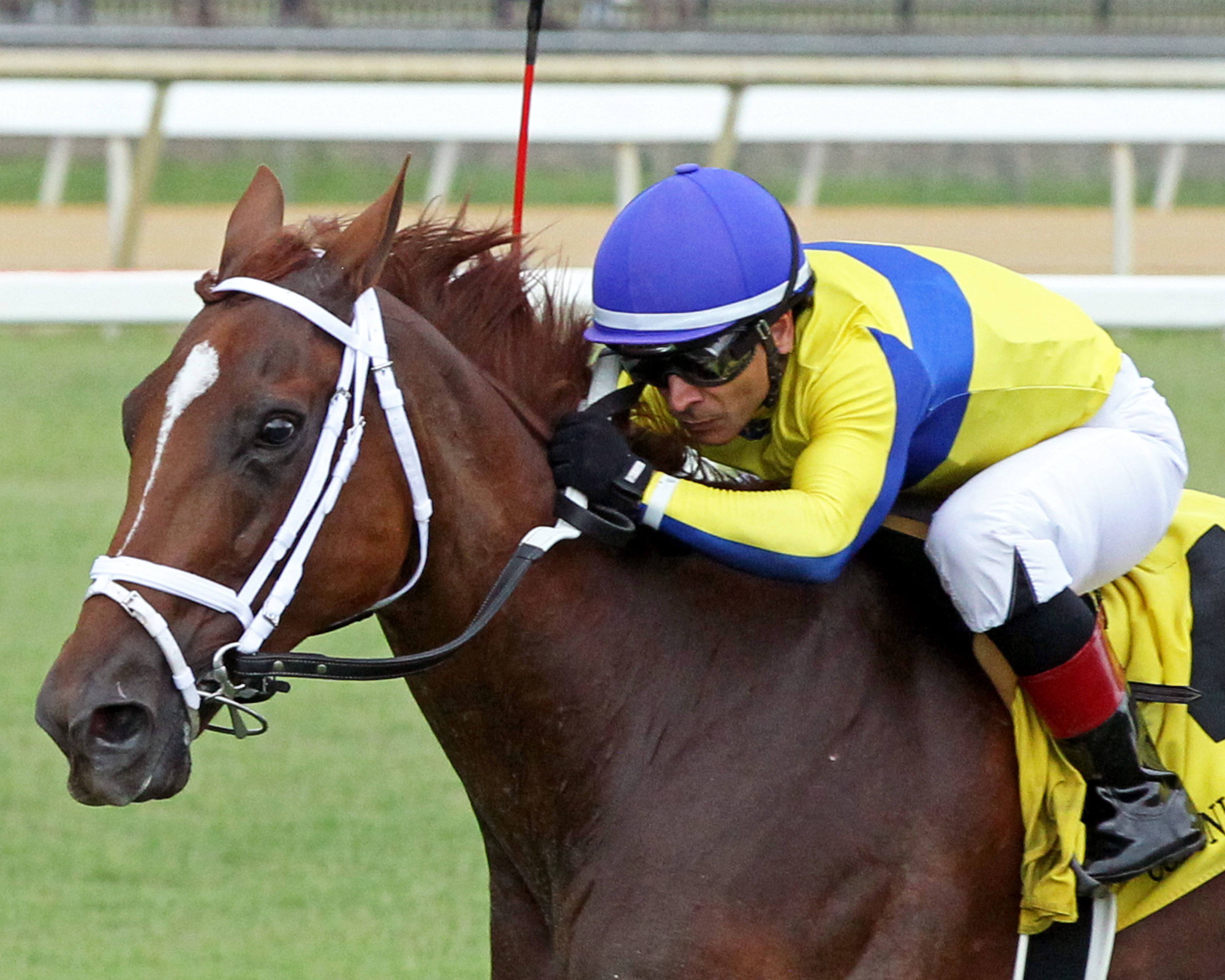Red Knight wins the Colonial Cup July 27 2022