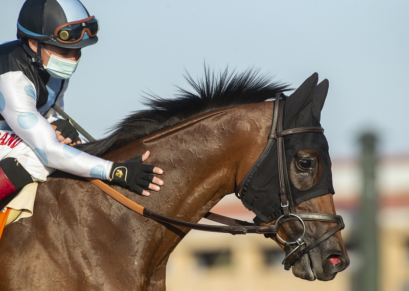 Red Lark wins Del Mar Oaks 8-22-2020