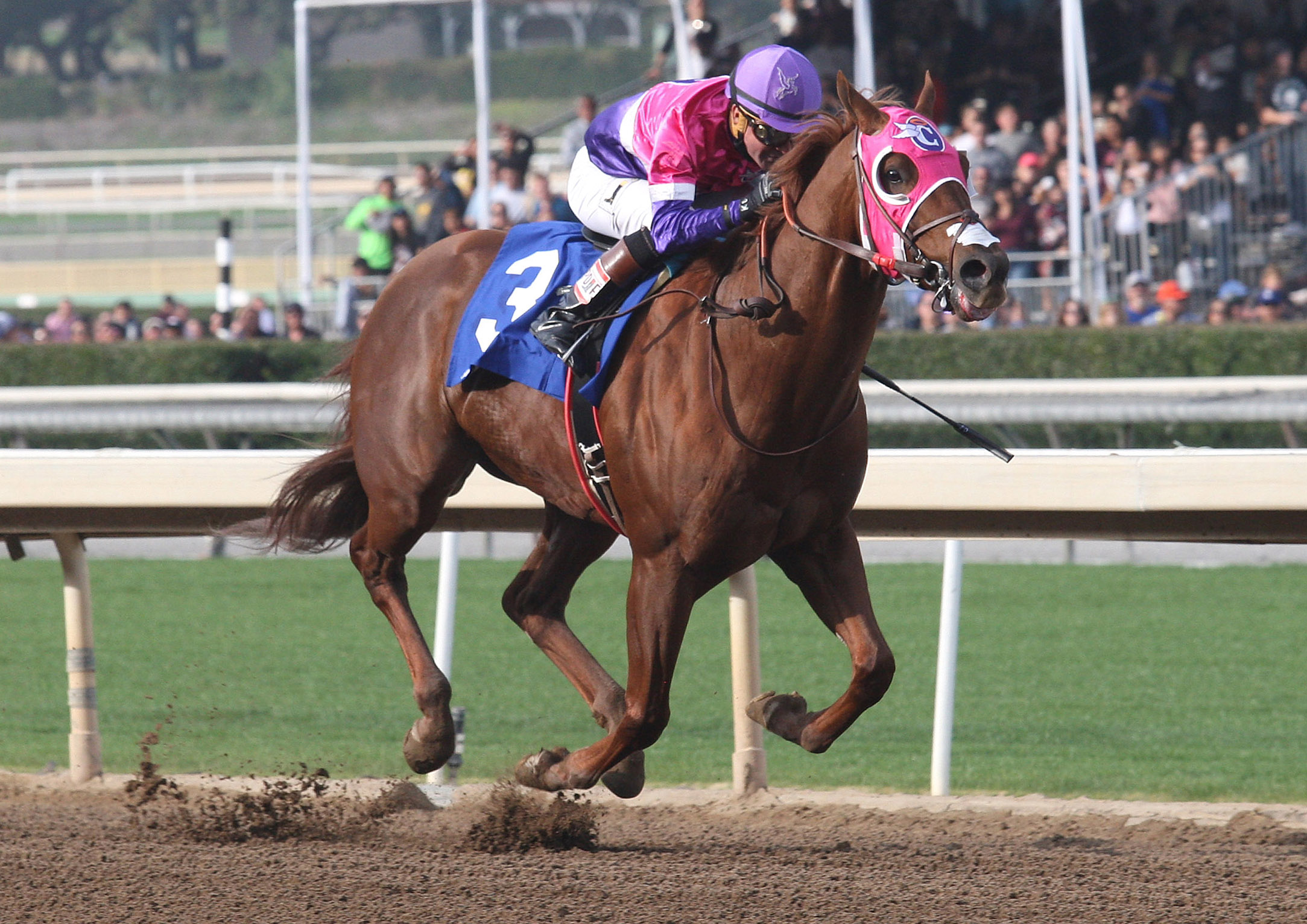 Red Lightning wins a Dec. 26 first-level allowance