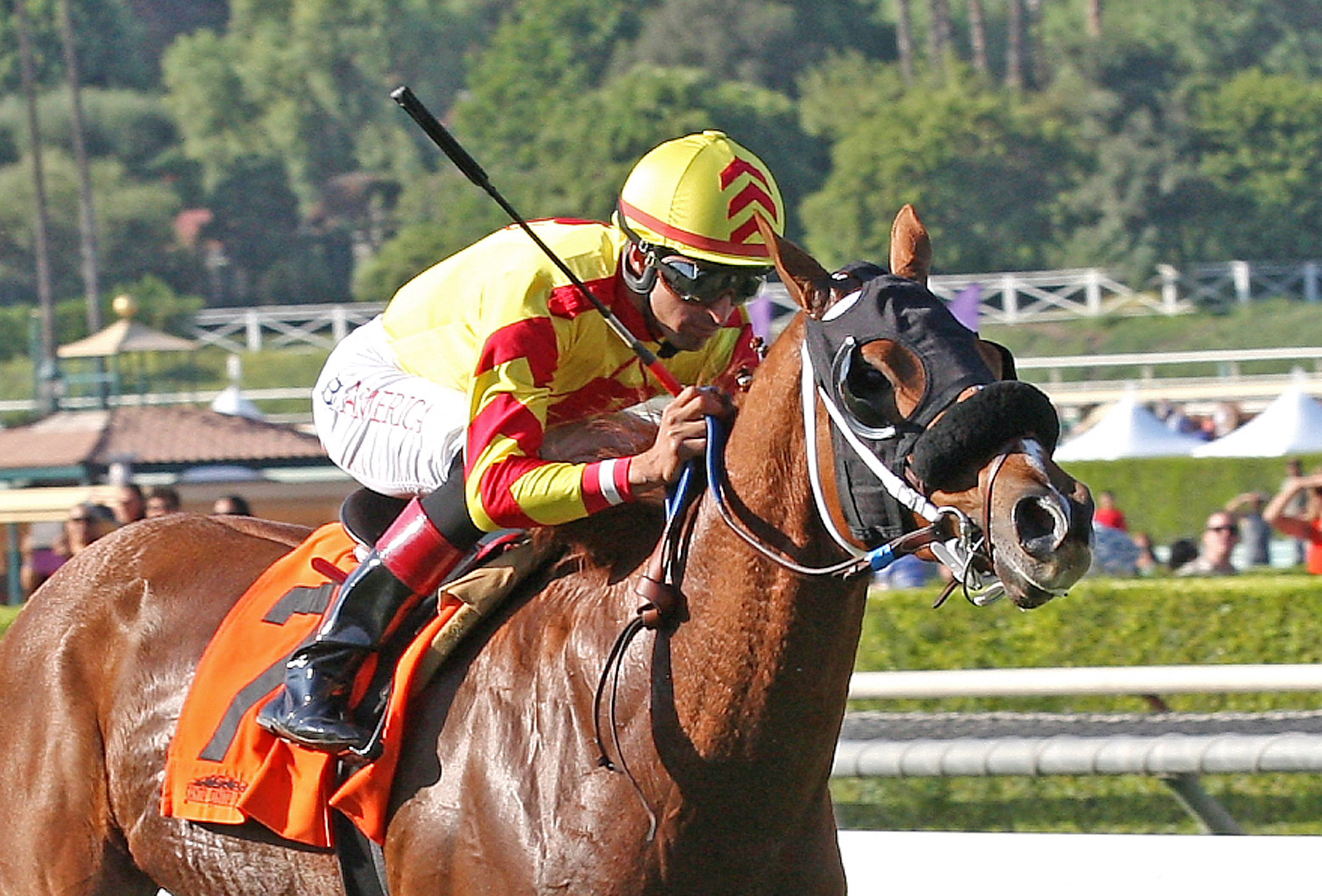 Red Outlaw wins the Uniformity Stakes