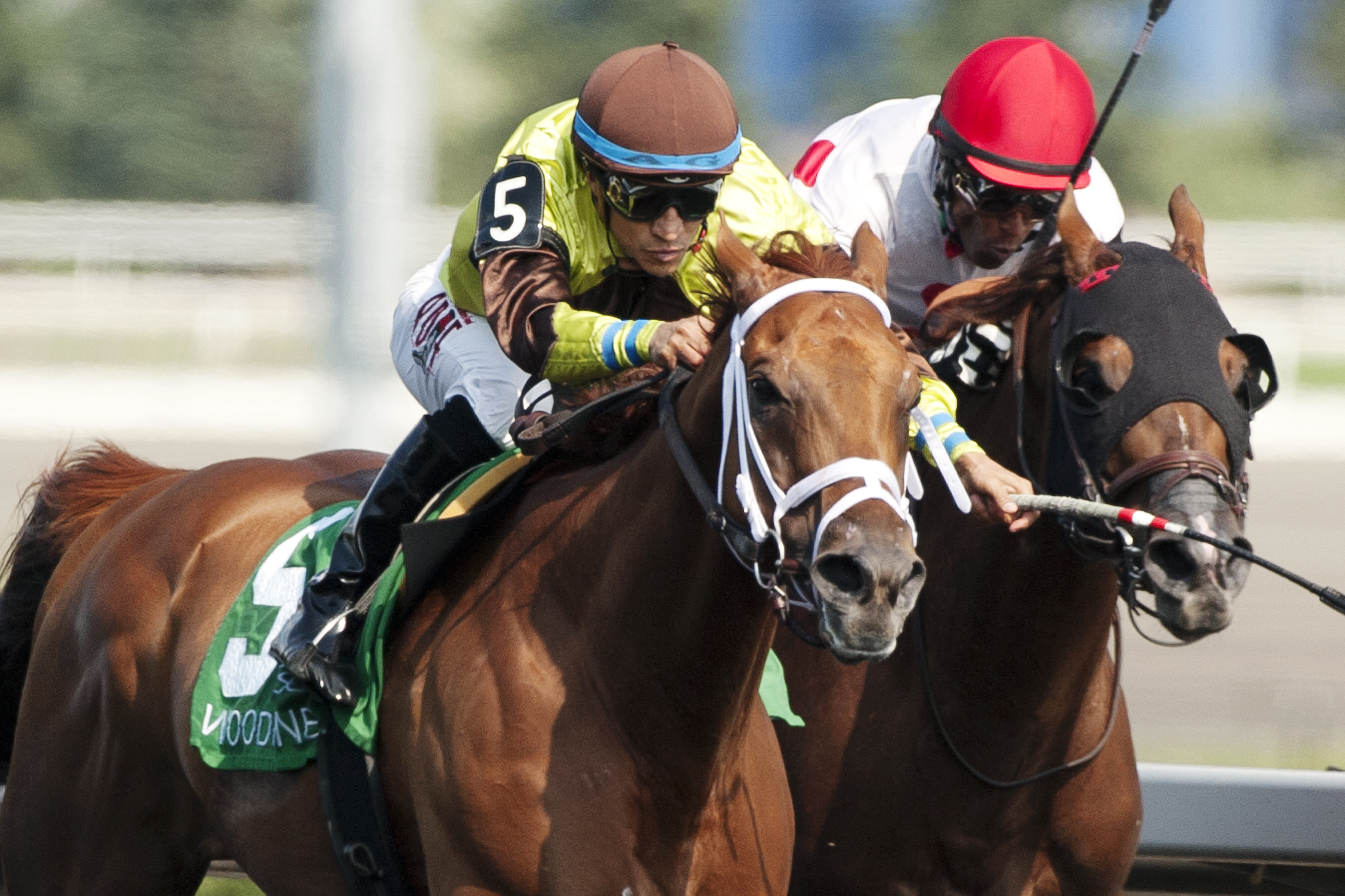 Red Rifle wins the Dominion Day Stakes