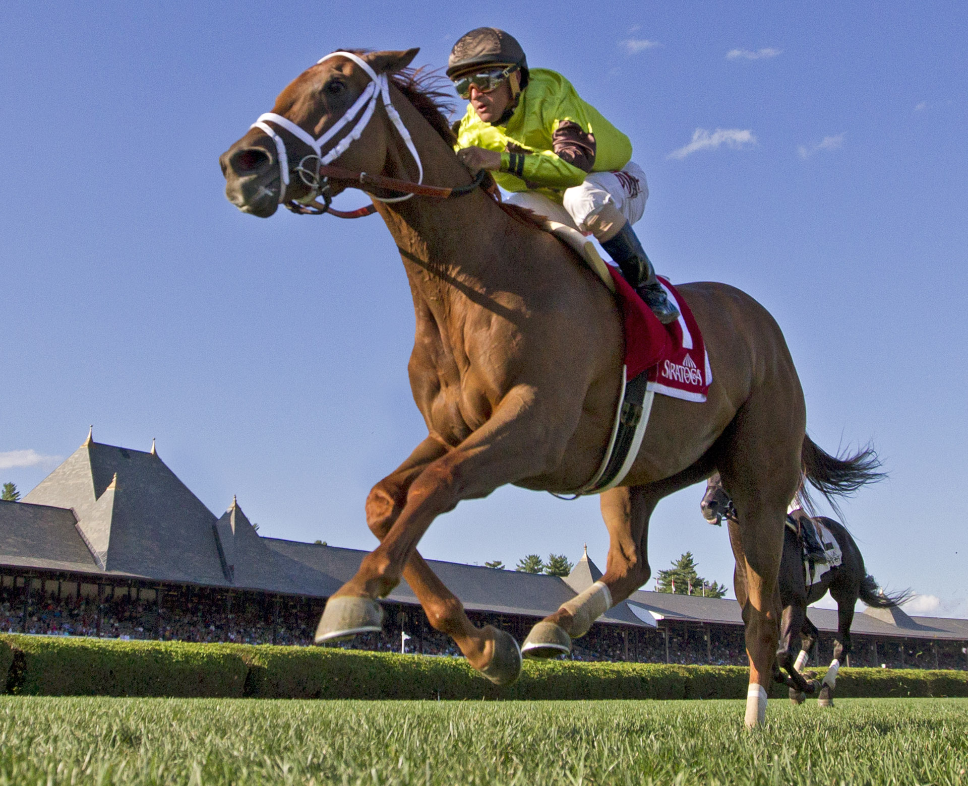 Red Rifle wins 2015 Bowling Green