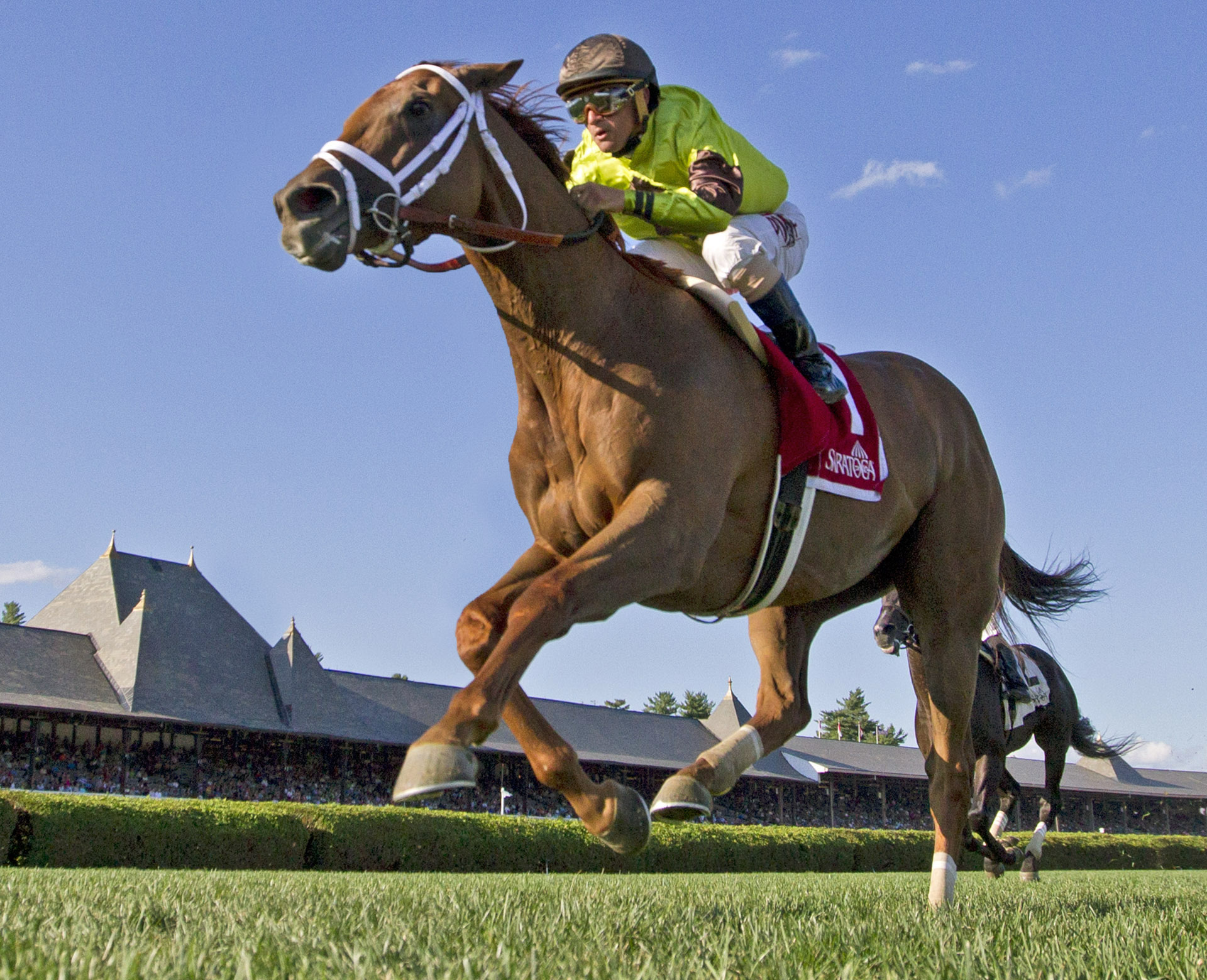 Red Rifle wins the 2015 Bowling Green Handicap