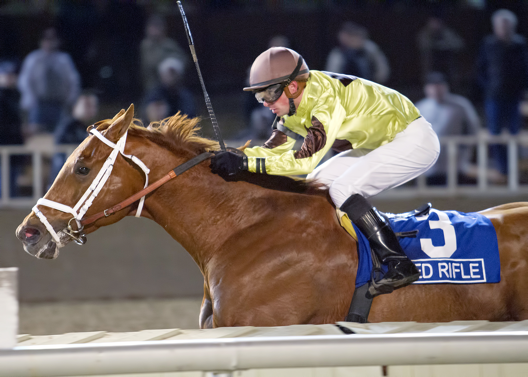 Red Rifle wins the Hawthorne Gold Cup