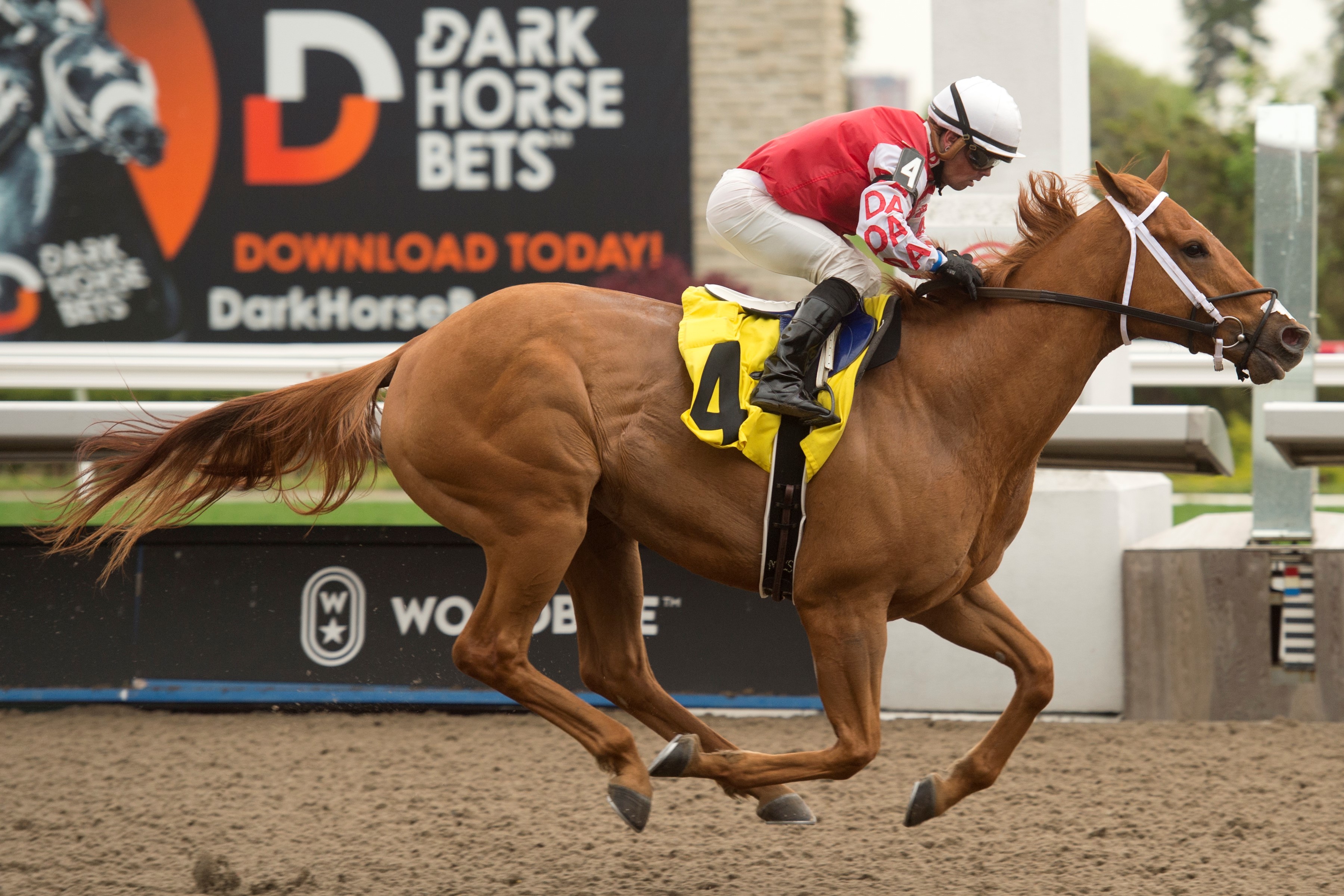 Red River Rebel wins at Woodbine on May 20 2022