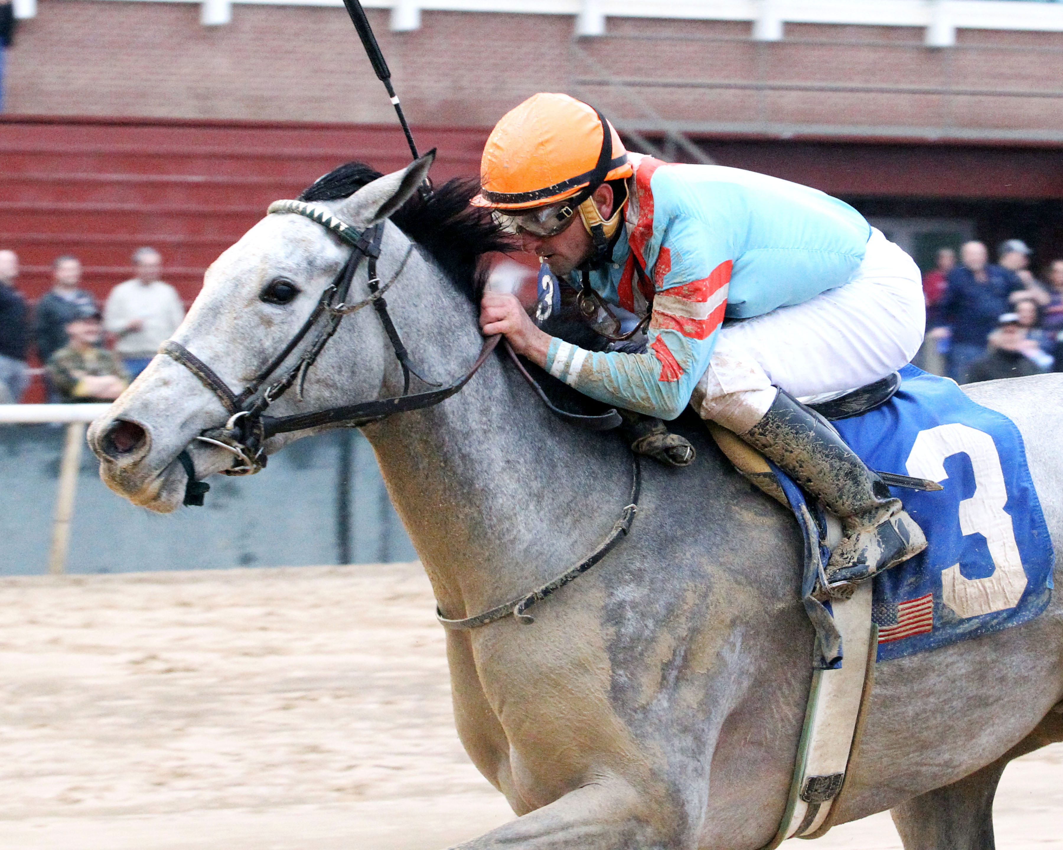 Red Ruby wins the 2018 Martha Washington Stakes