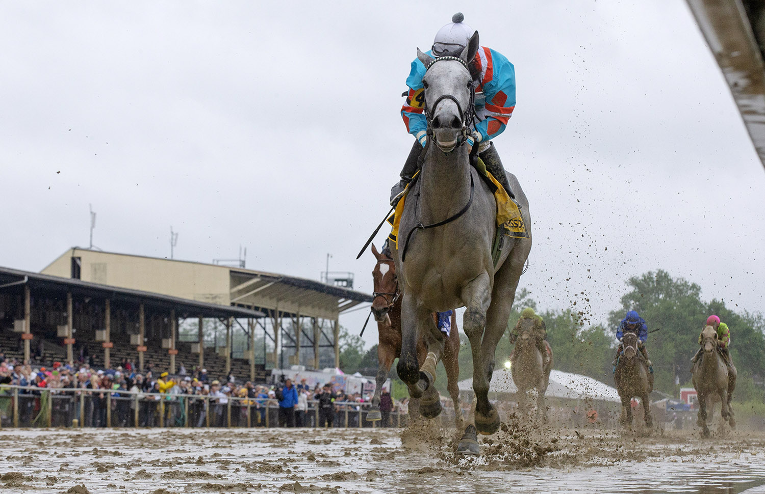 Red Ruby wins the Black Eyed Susan