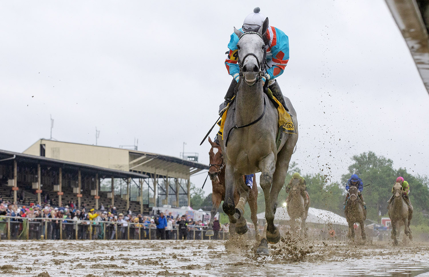 Red Ruby wins the Black Eyed Susan