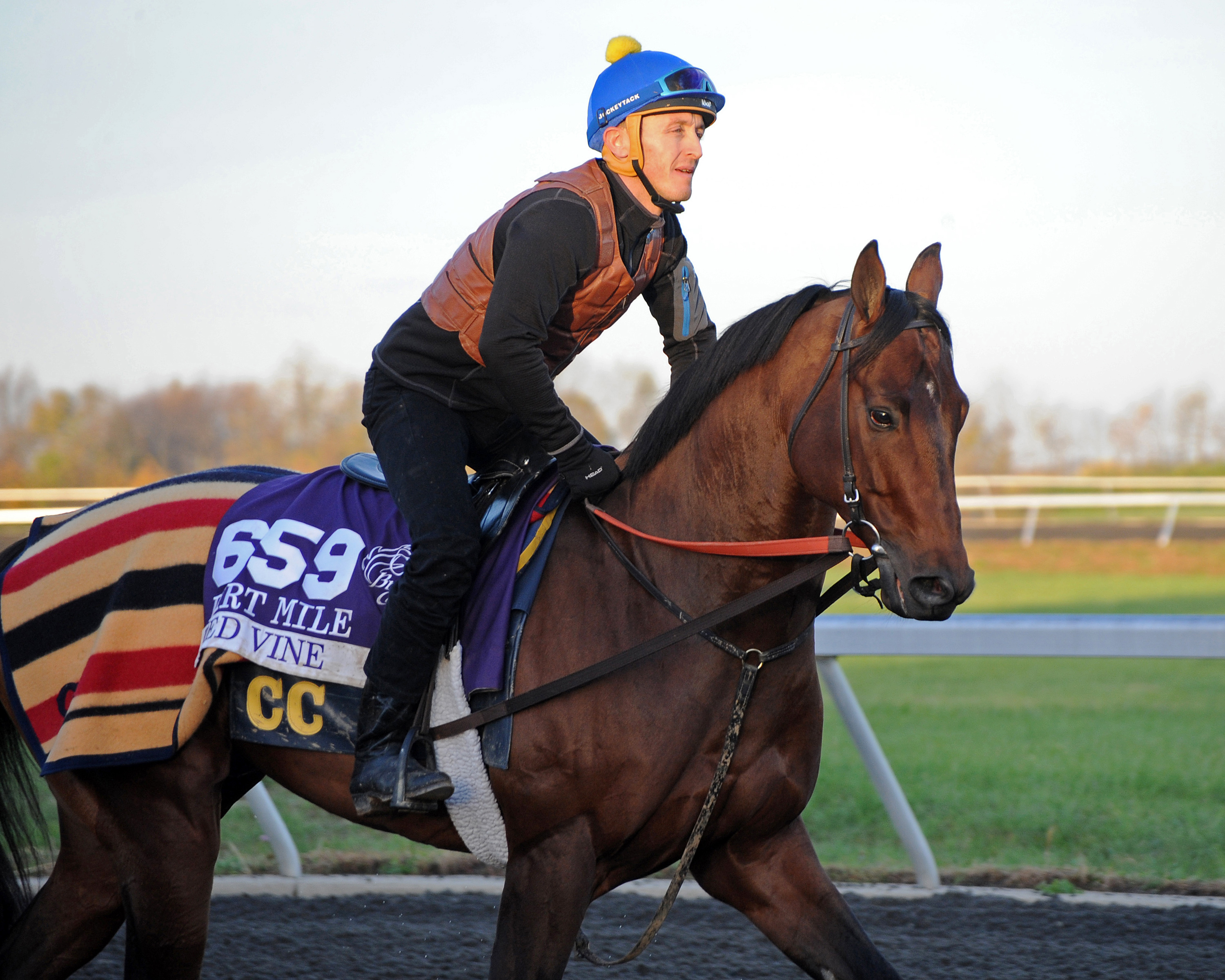 Red Vine at Keeneland for the 2015 Breeders' Cup