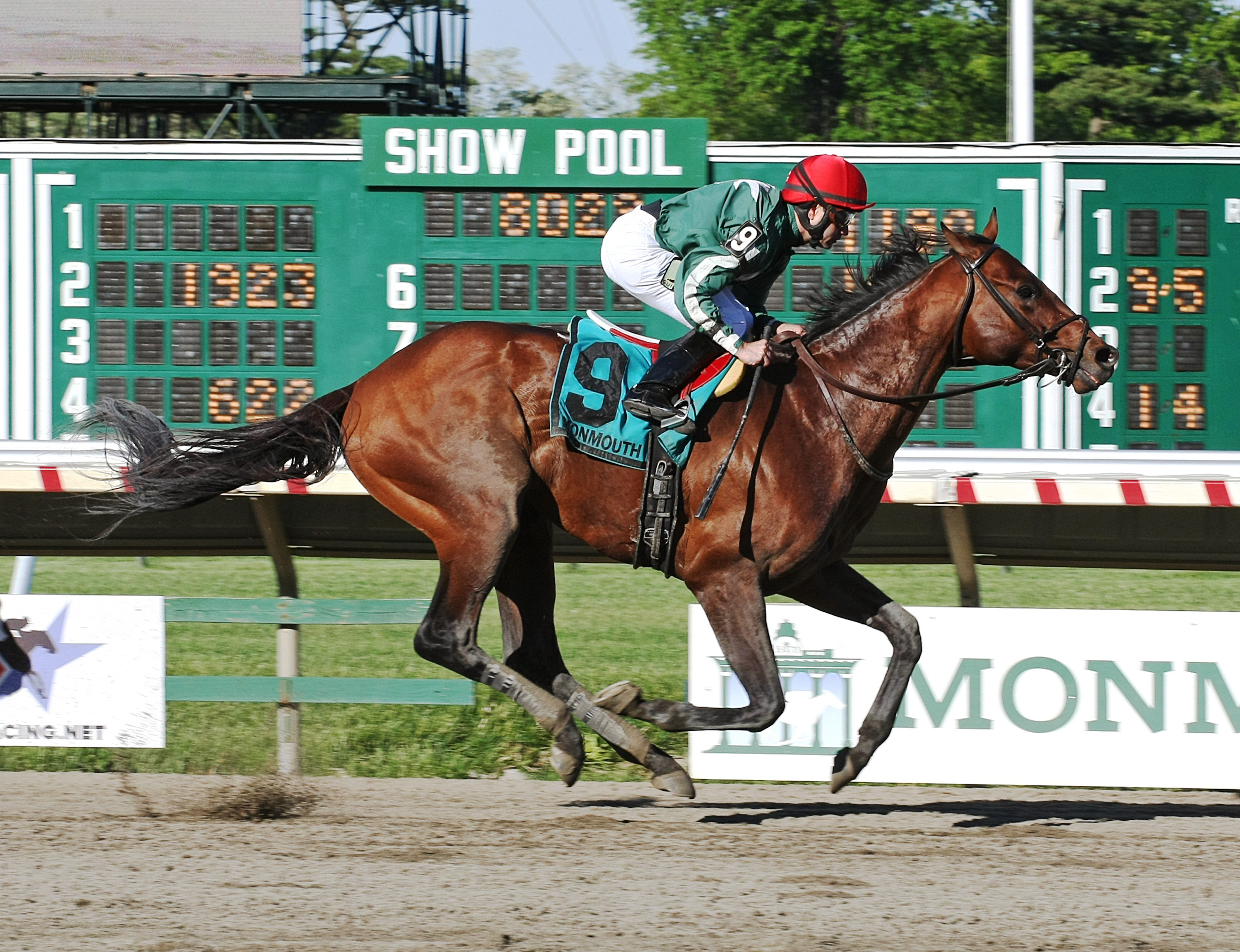 Red Vine wins the Majestic Light Stakes